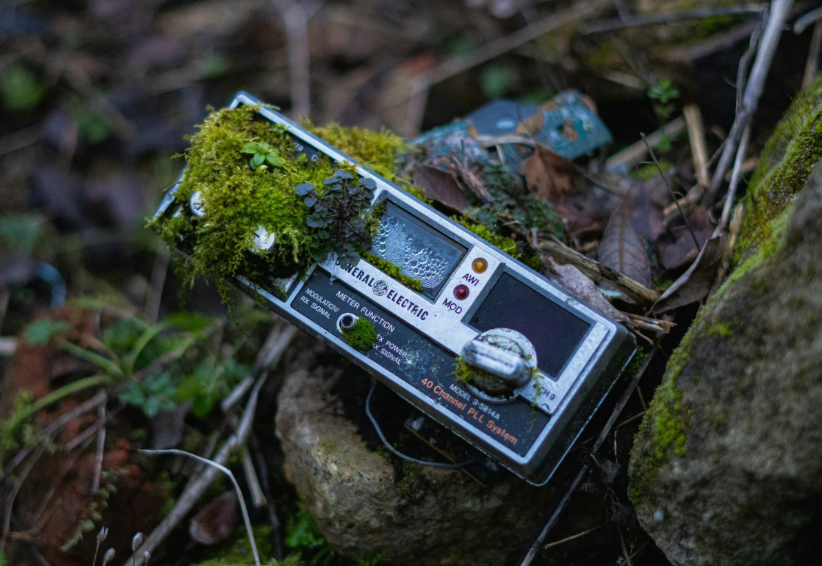 I Used to Let Music Decide My Life