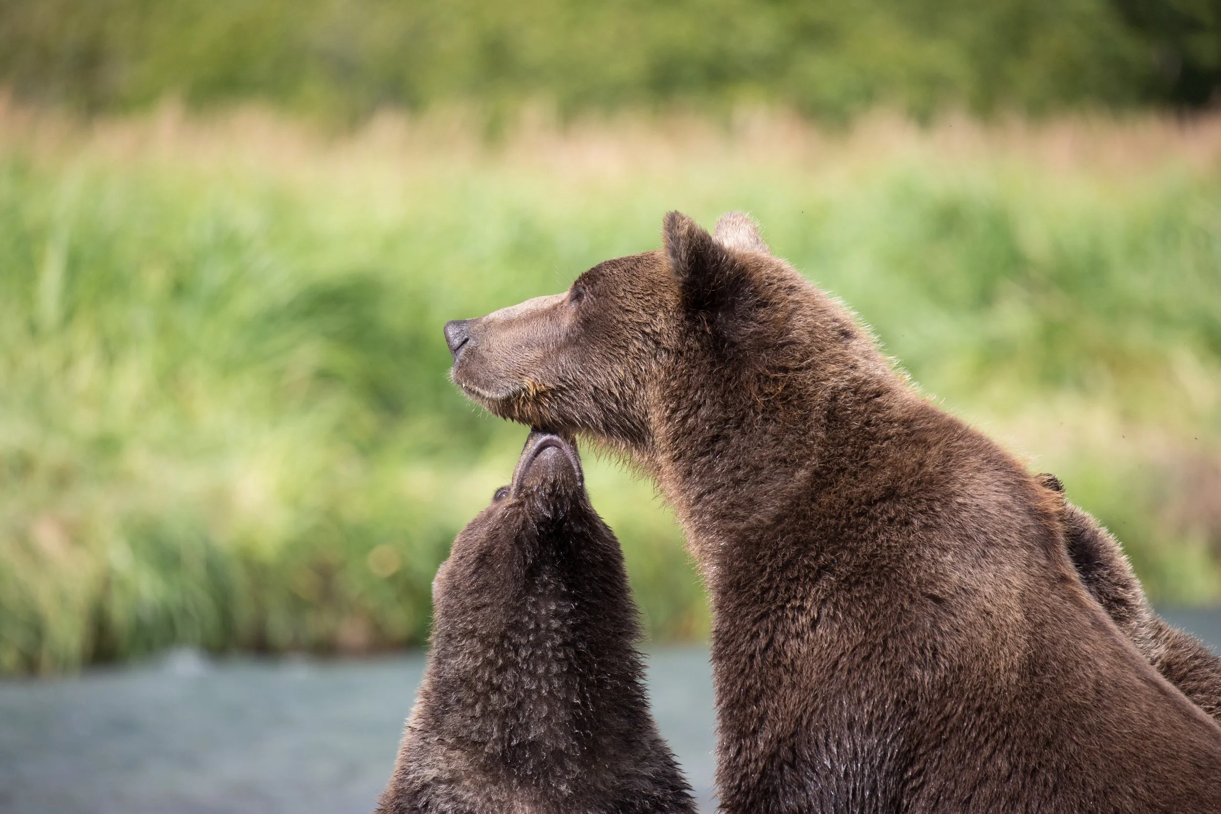 20150821150821 Alaska Day 9249.jpg