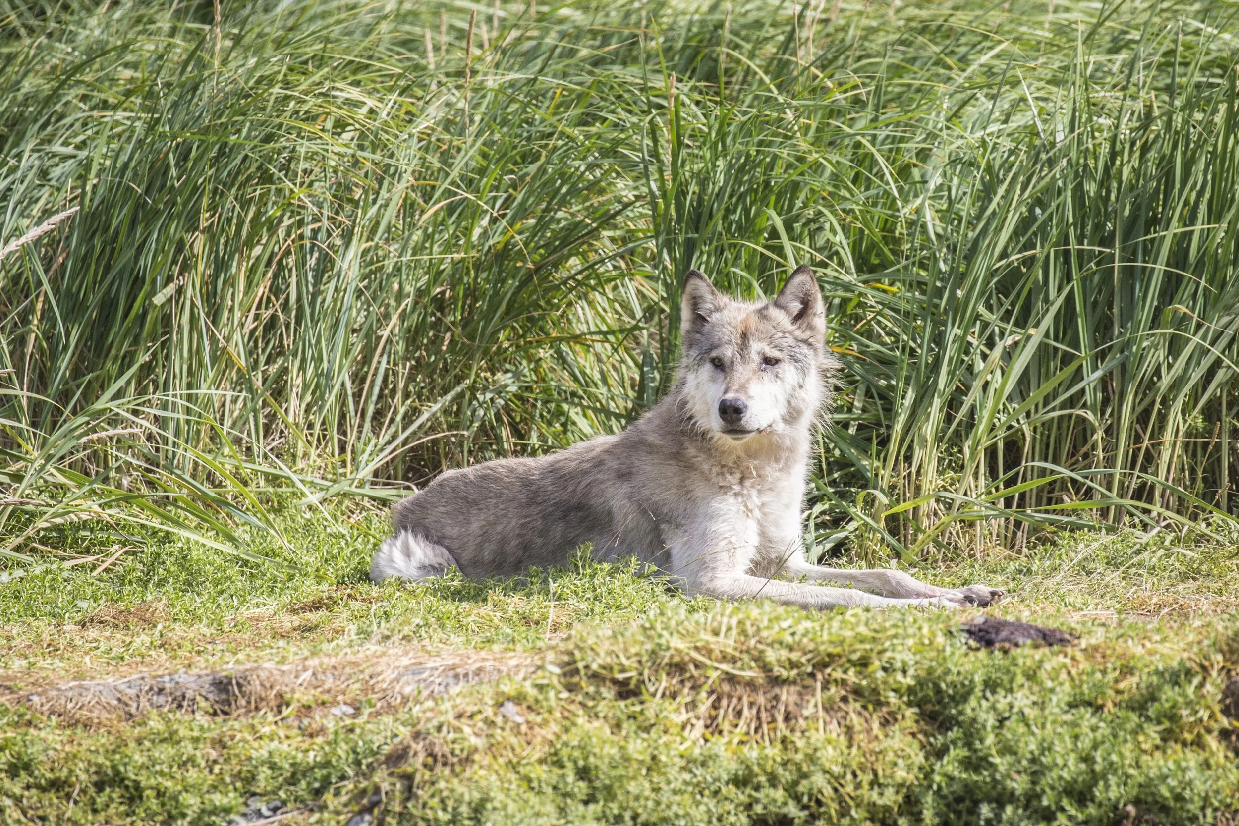 20150823150823 Alaska Day 11 PM267.jpg