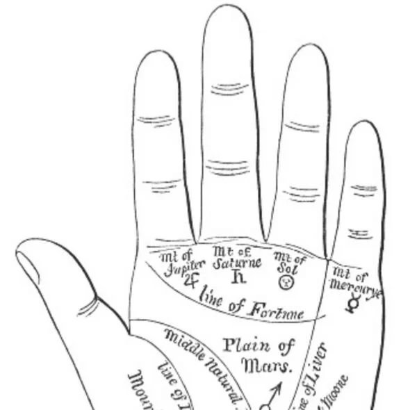 PALM READING