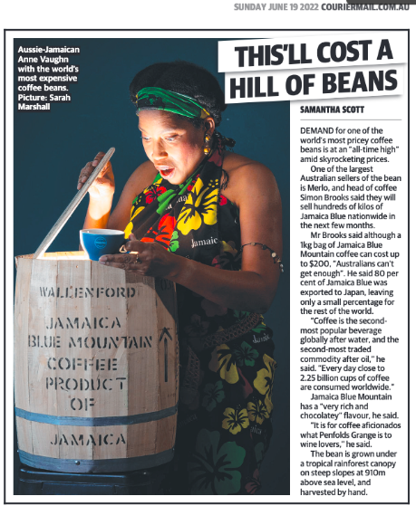 Screen Shot 2022-06-19 at 7.22.19 am.png