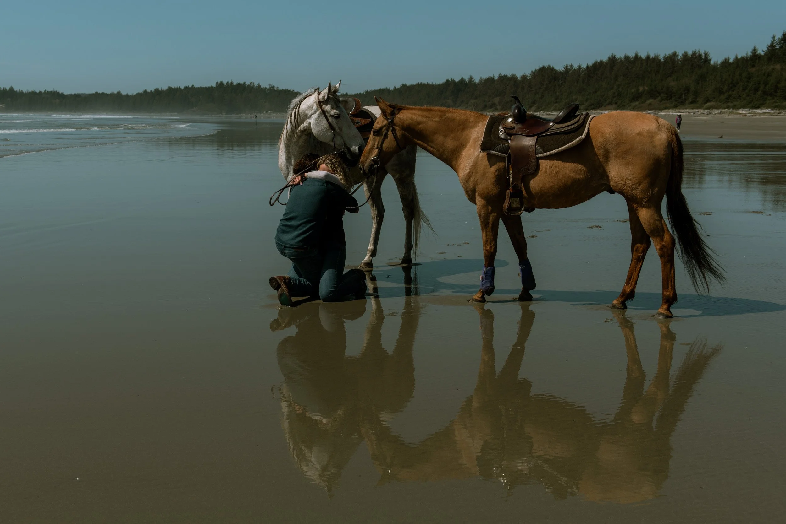vancouver island engagement photography