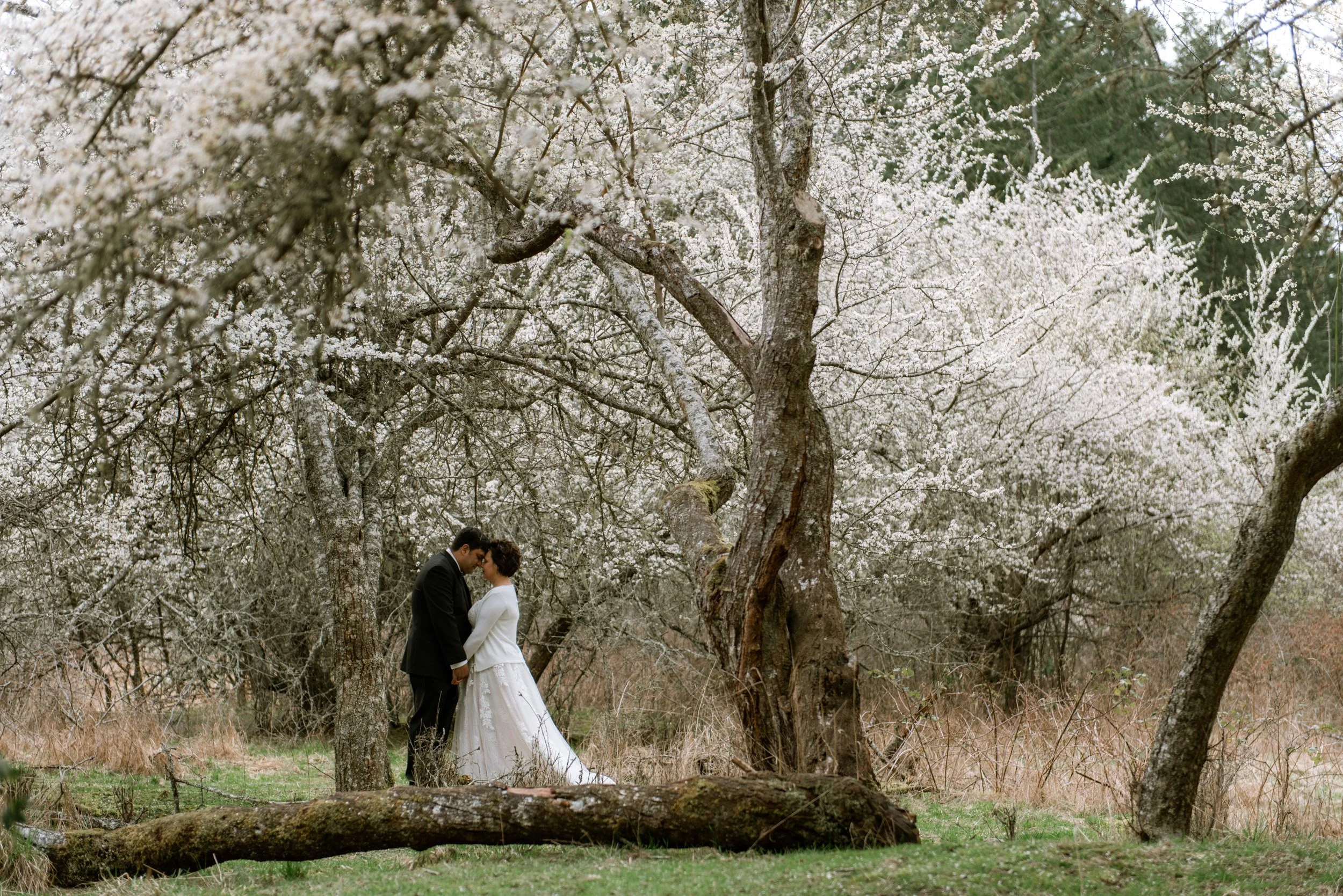 vancouver island elopement