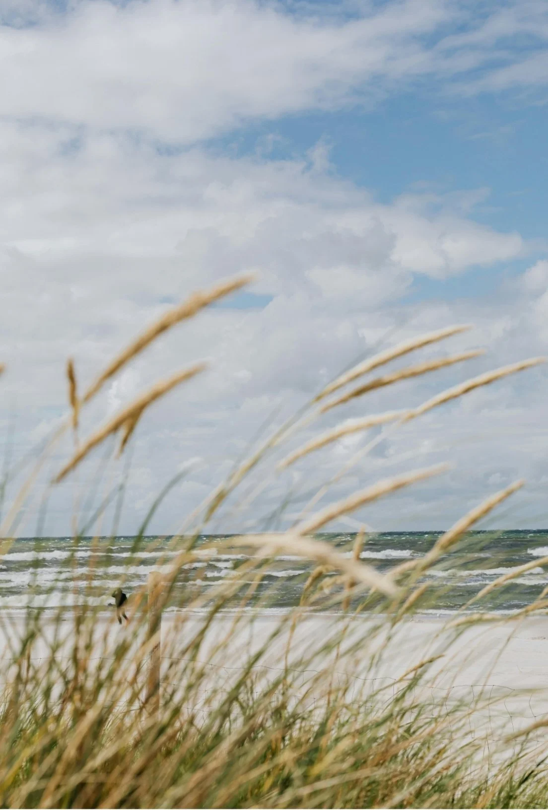 Beach with tall grasses in the foreground, ocean waves, and a partly cloudy sky.