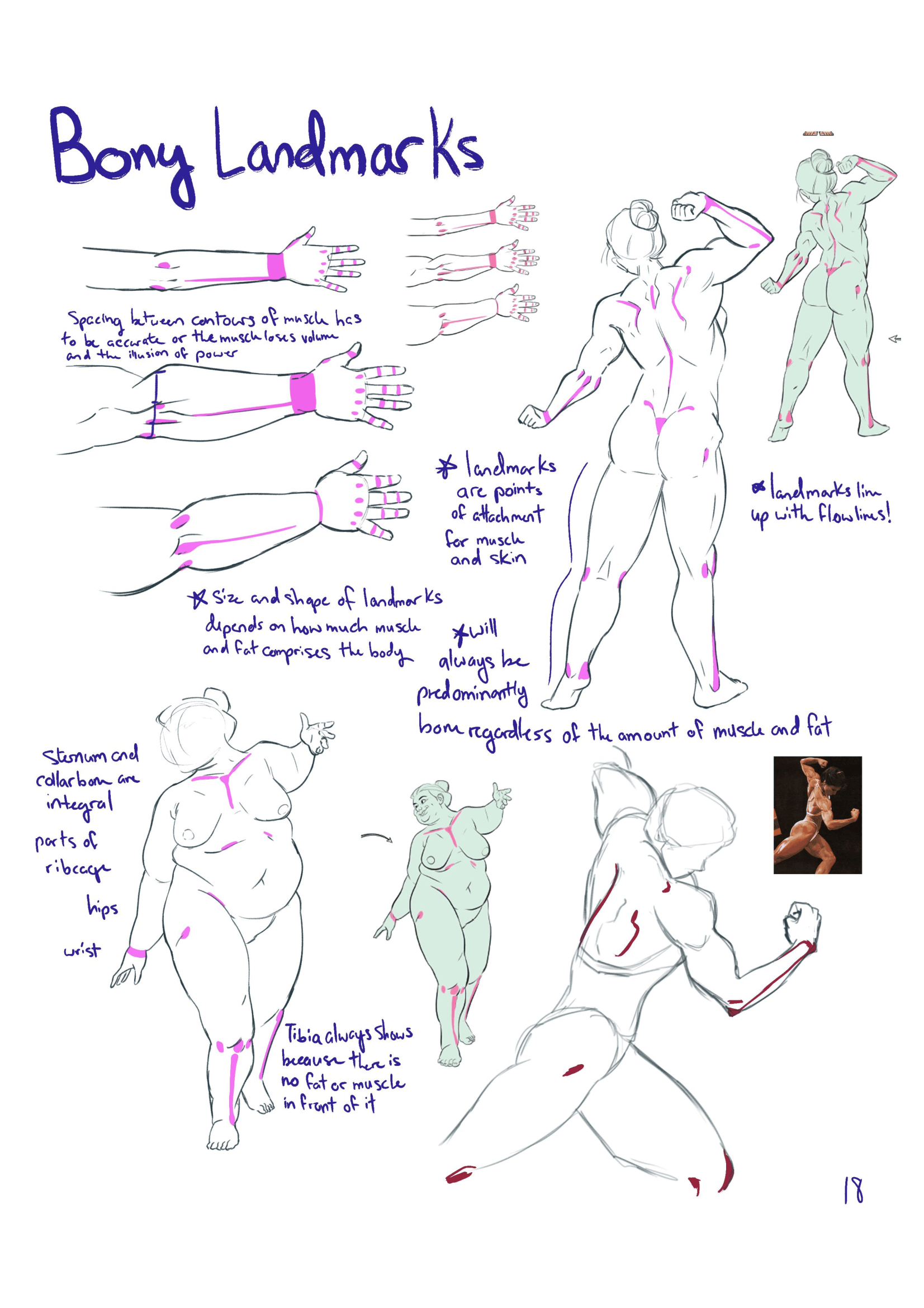 ANIM335_Sketchbook_Stephanie_Holston-18.png