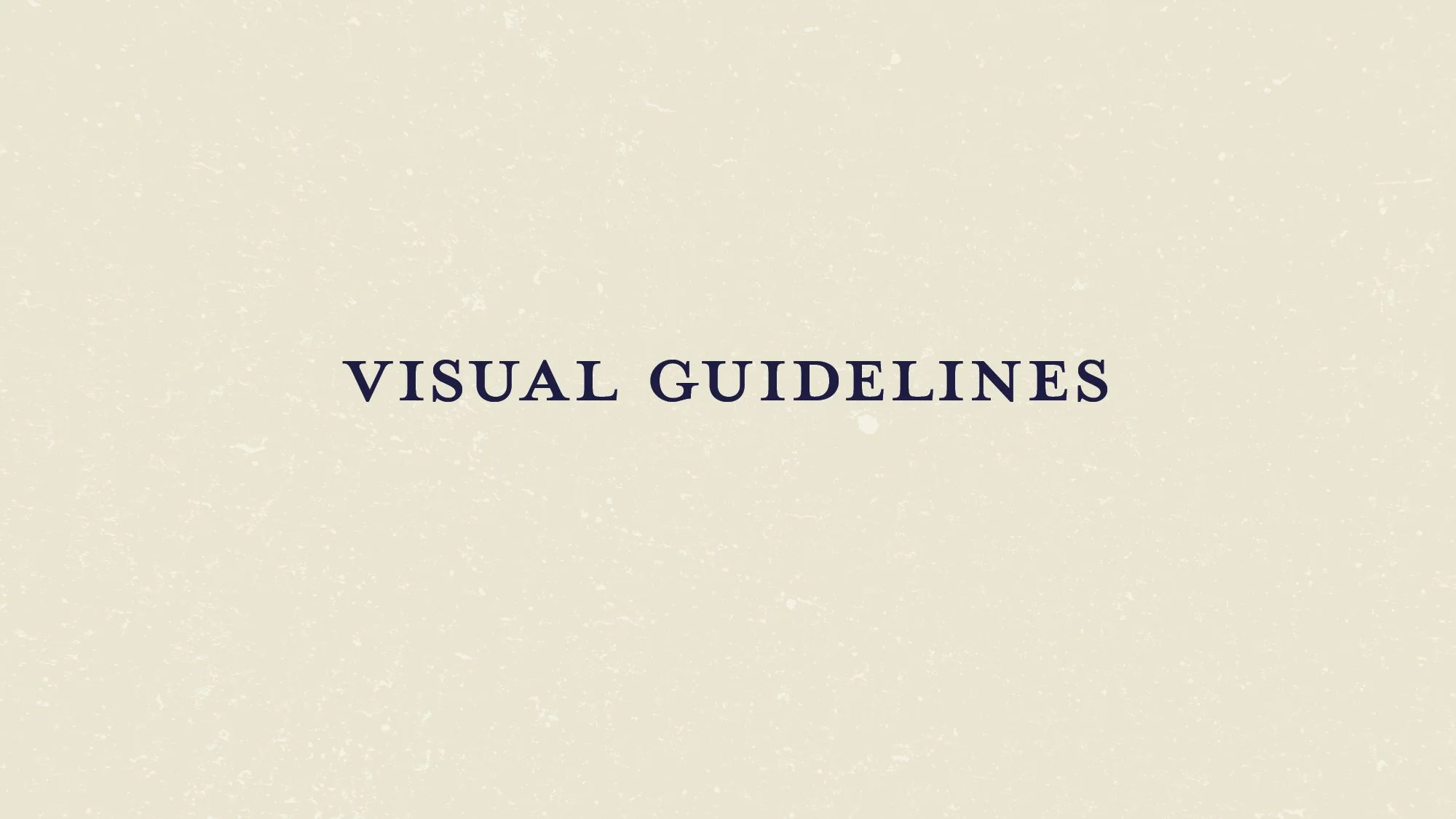 Slide with the text 'Visual Guidelines' on a beige textured background.