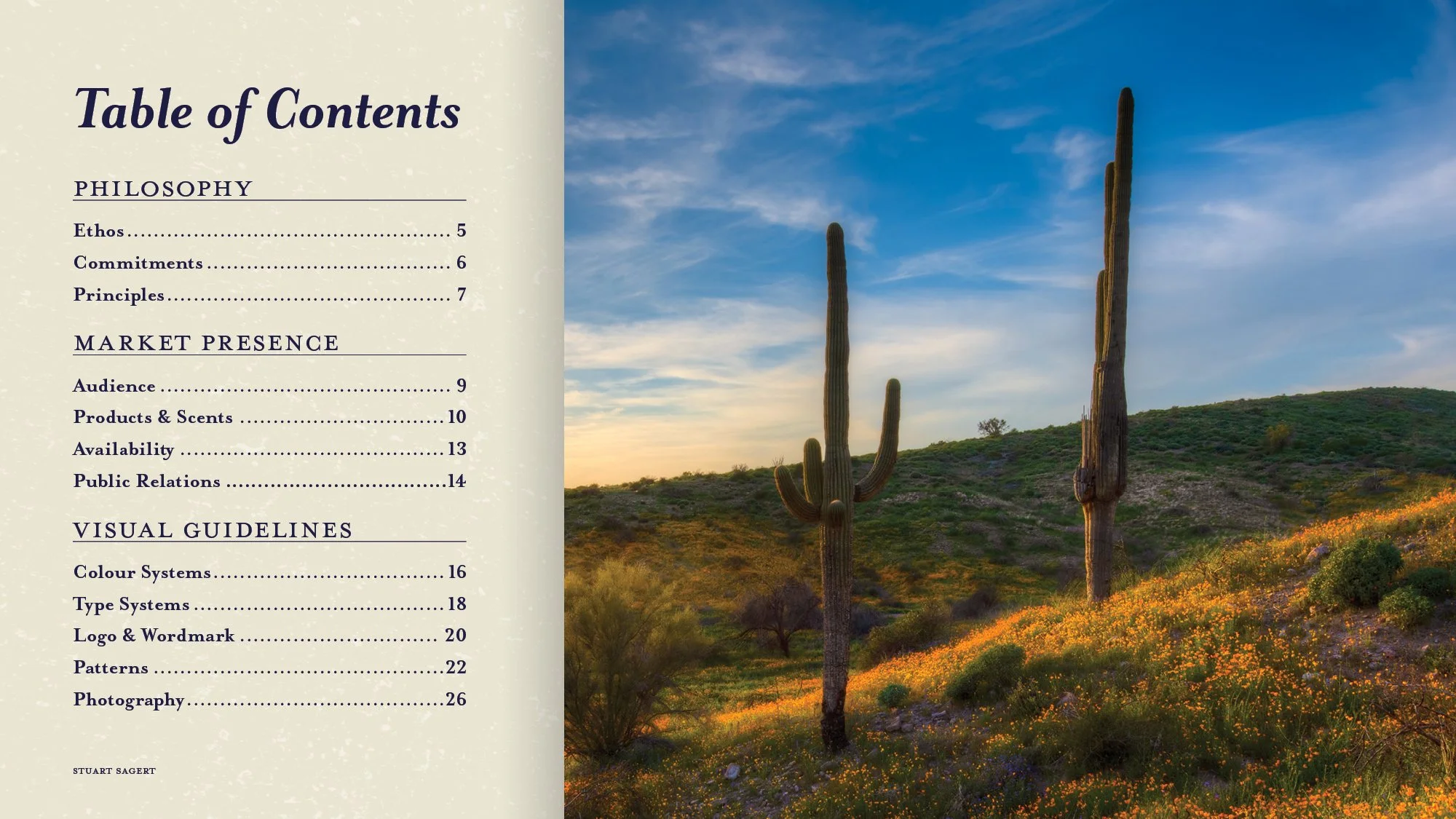 A table of contents page for a book or report, listing sections on philosophy, market presence, and visual guidelines, with a background image of a desert landscape featuring tall saguaro cacti, green hills, and a partly cloudy sky at sunset.