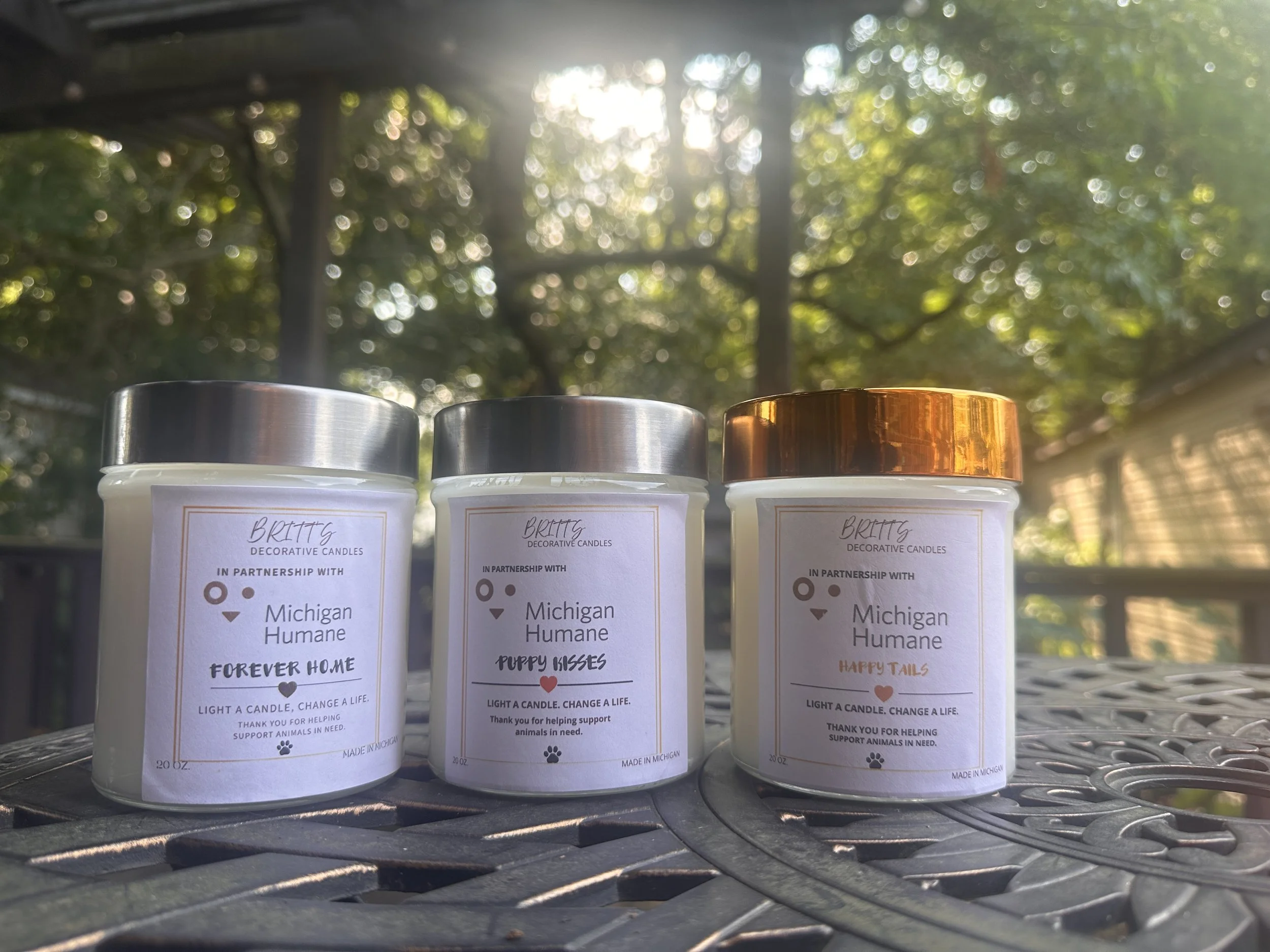 How I Created a Candle Collection That Gives Back to Michigan Humane