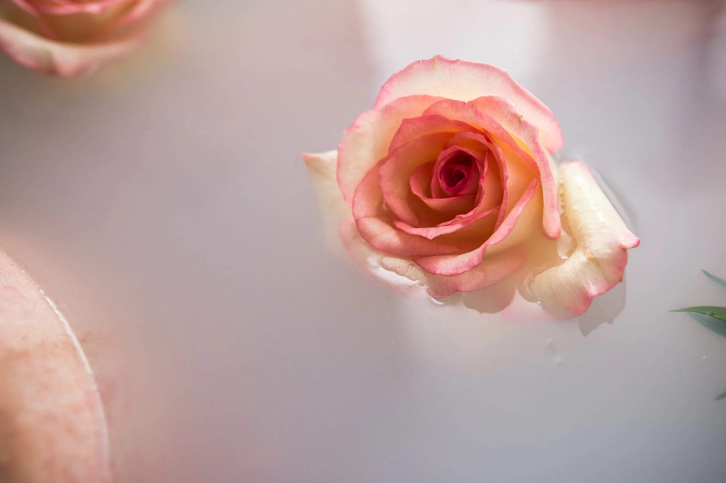 A beige ceramic vase with a narrow neck and rounded body containing dried branches, placed on a wooden surface with a shadow cast on the wall behind.