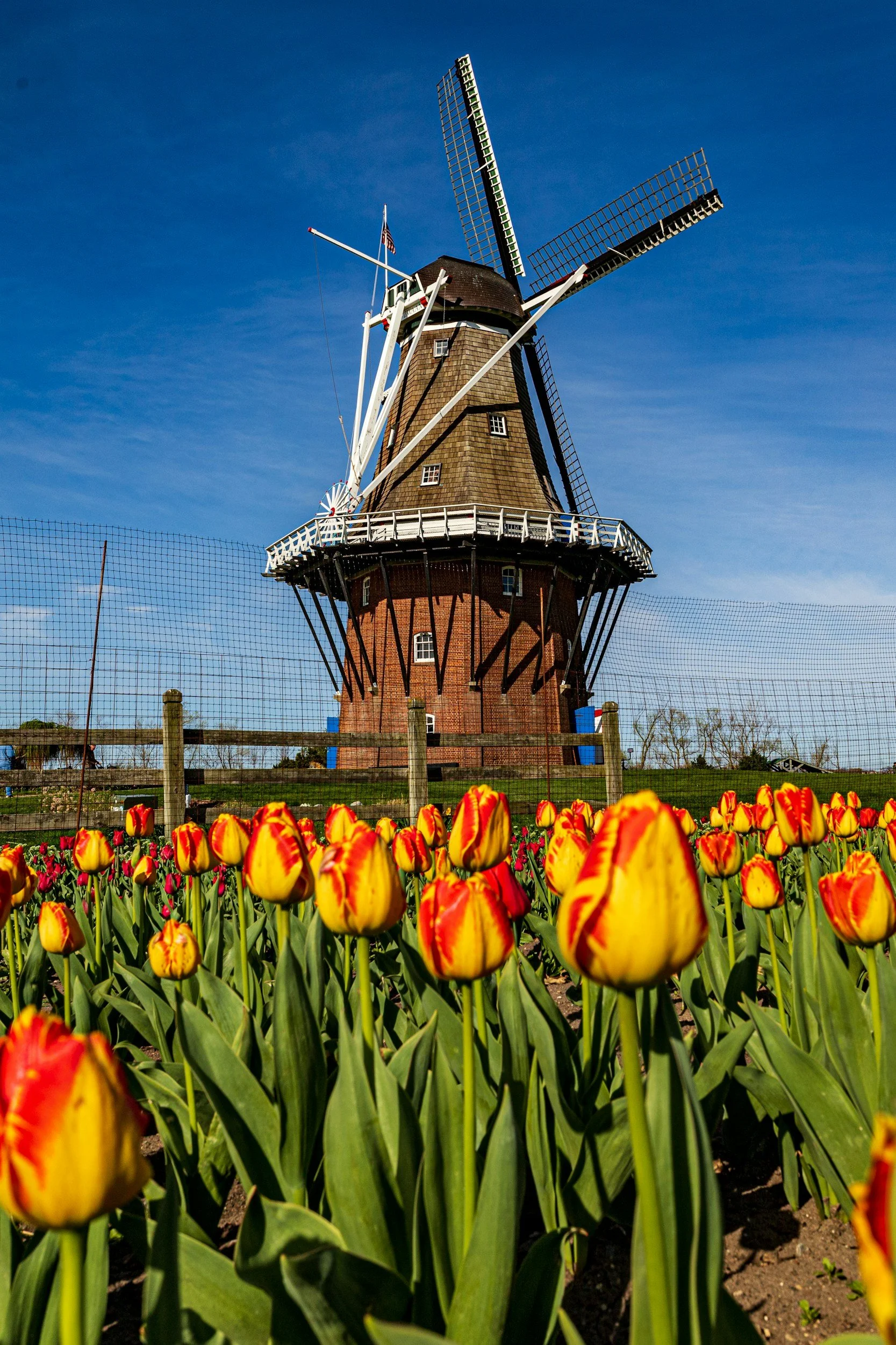 Holland