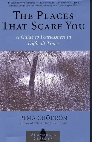 Book cover for 'The Places That Scare You: A Guide to Fearlessness in Difficult Times' by Pema Chödrön, featuring a landscape with trees and a body of water.