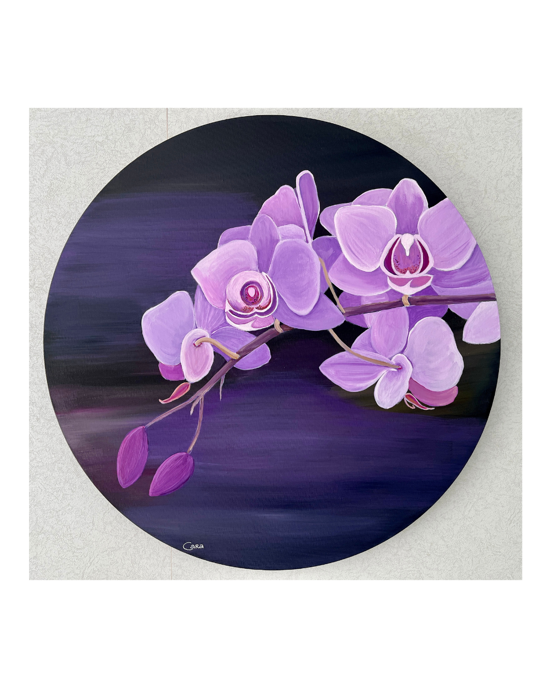 Untitled design - 9.png
