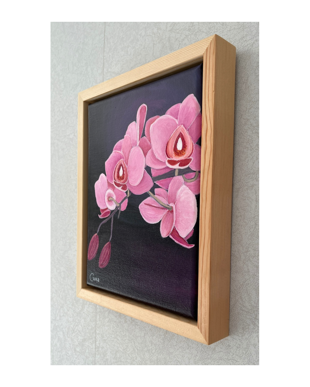 Untitled design - 5.png