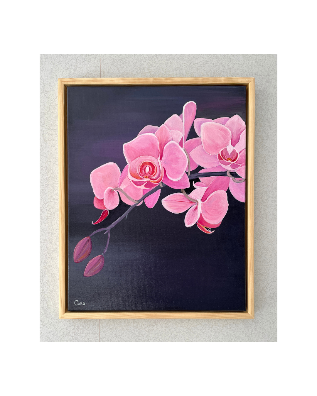 Untitled design - 6.png