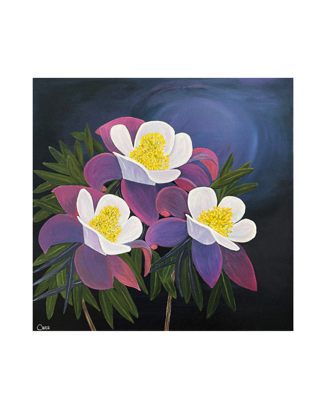 Velvet Blooms