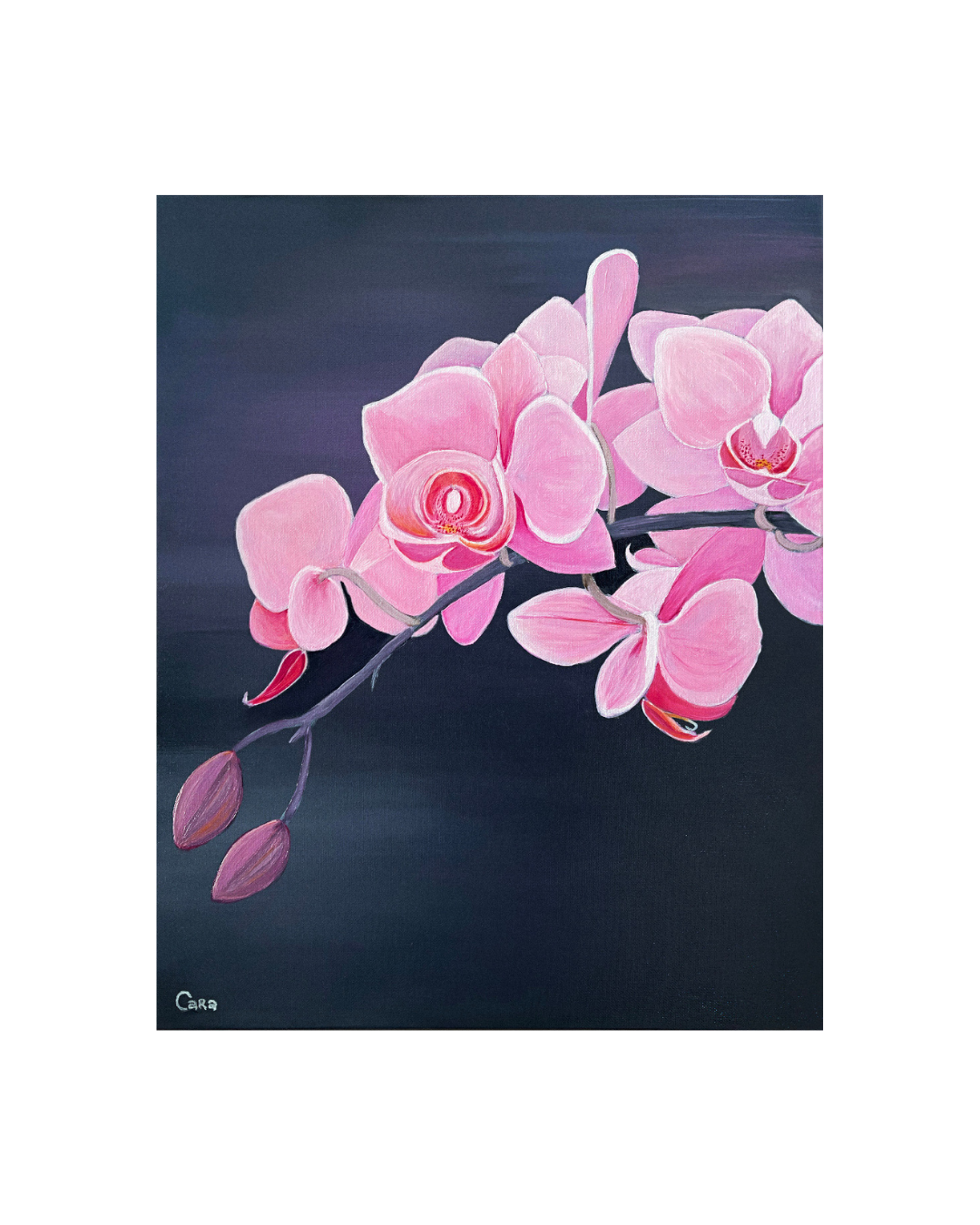 Untitled design - 4.png
