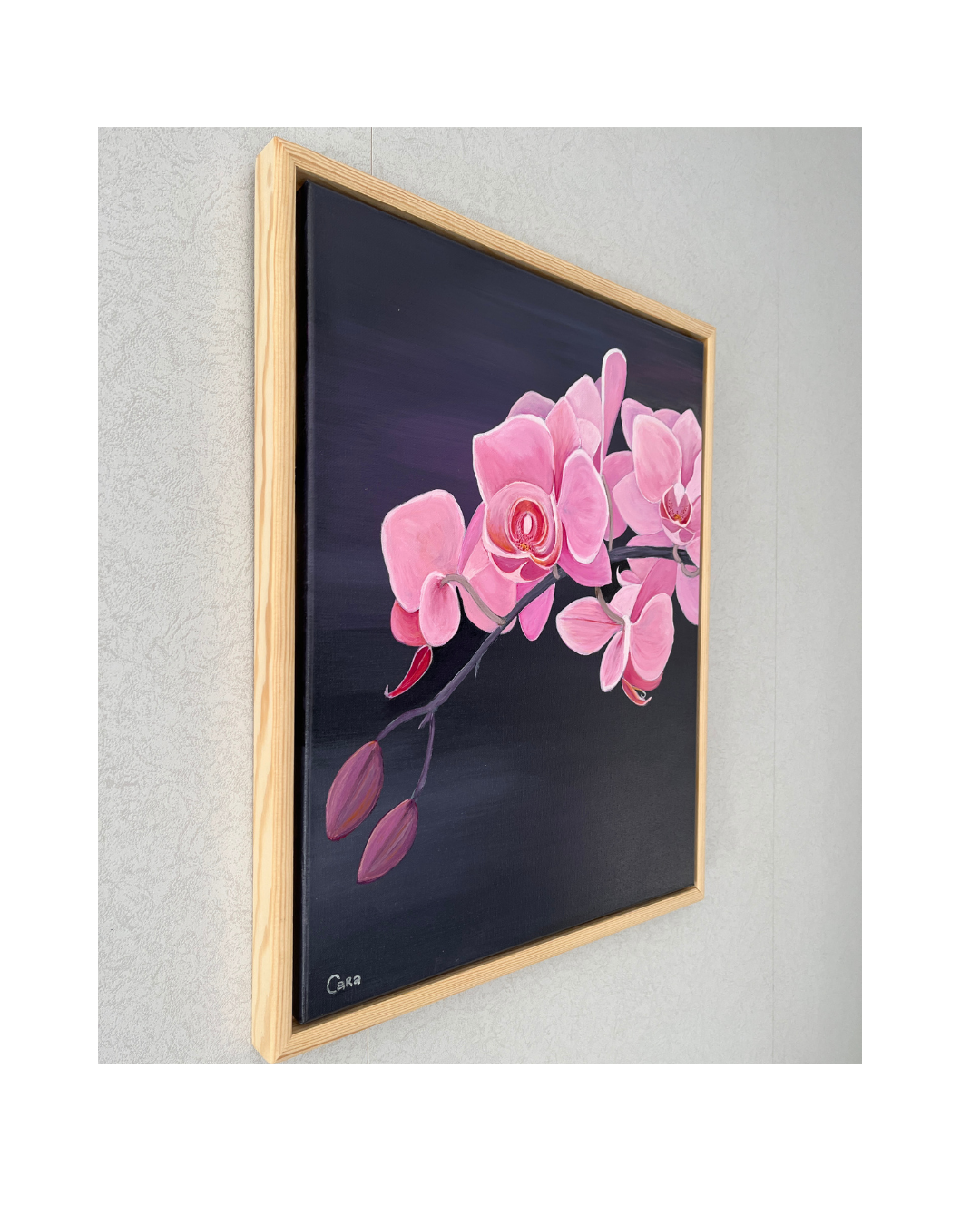 Untitled design - 12.png