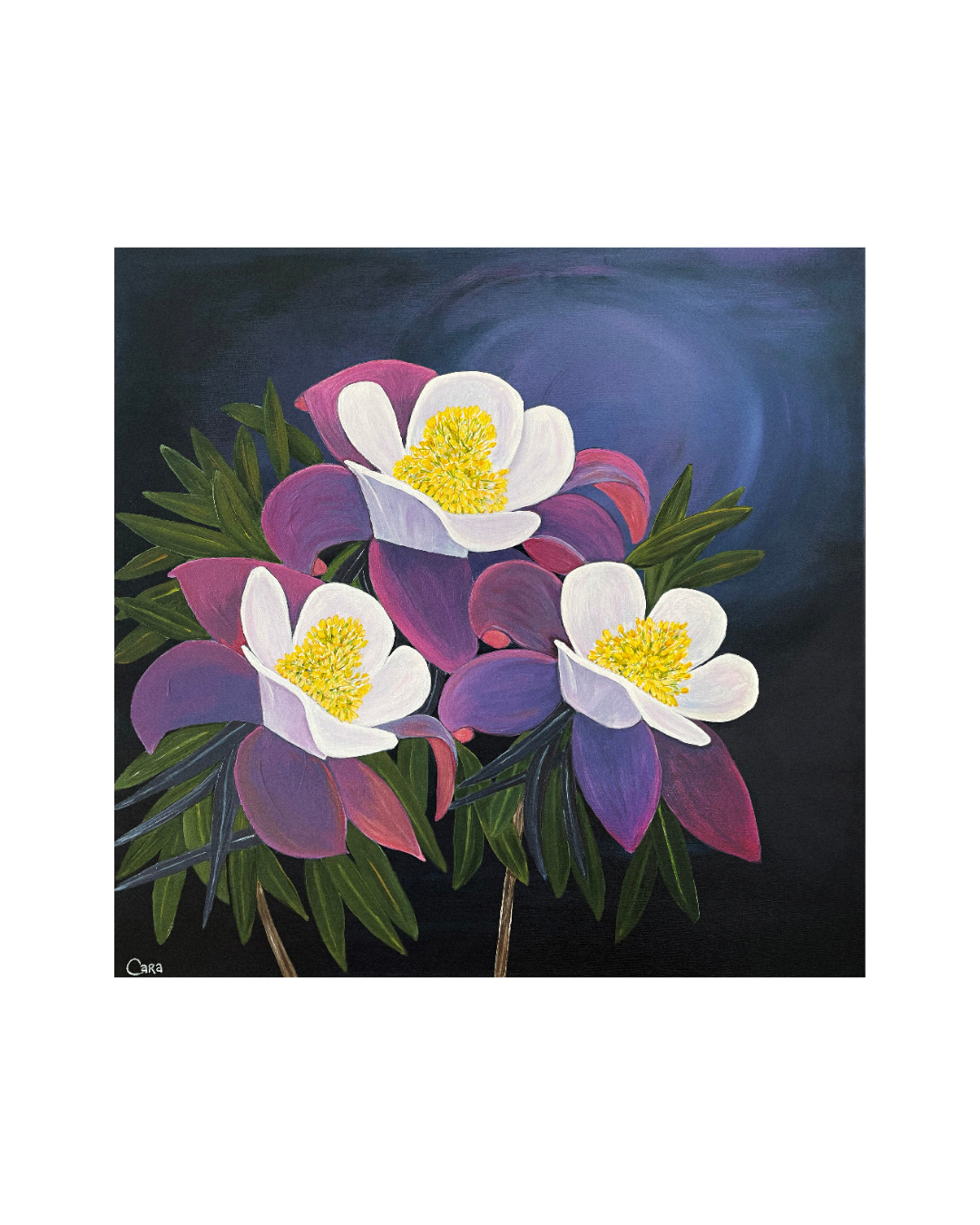 Velvet Blooms Print (Open Edition)