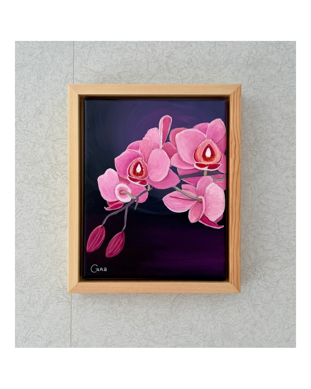 Orchid Rhapsody Miniature