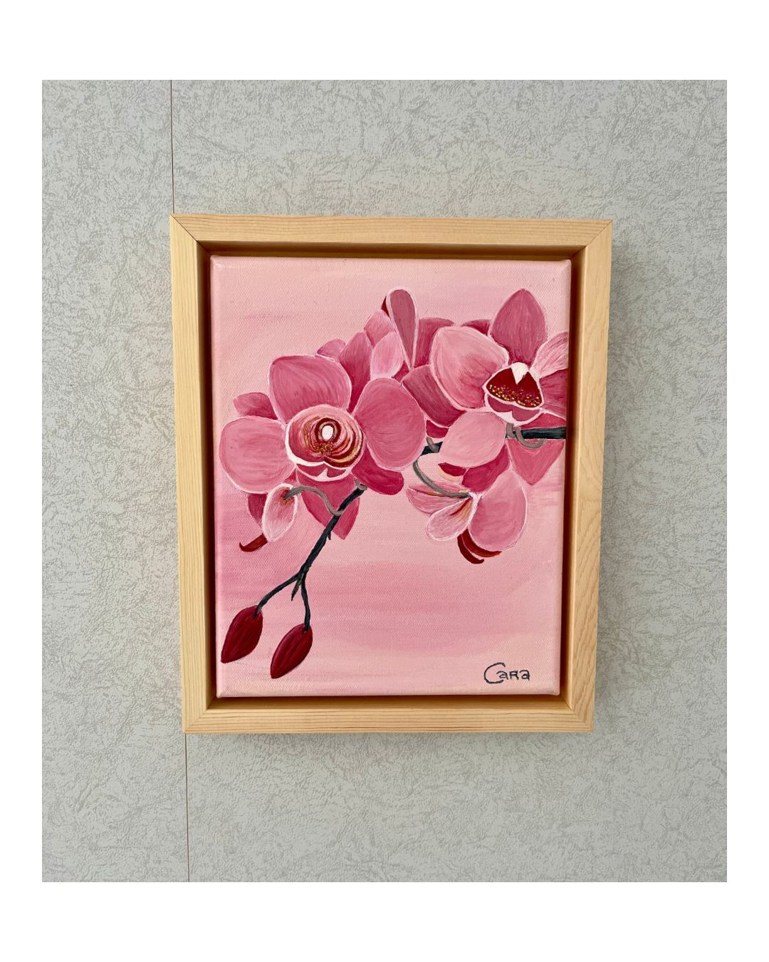 Untitled design - 5.png
