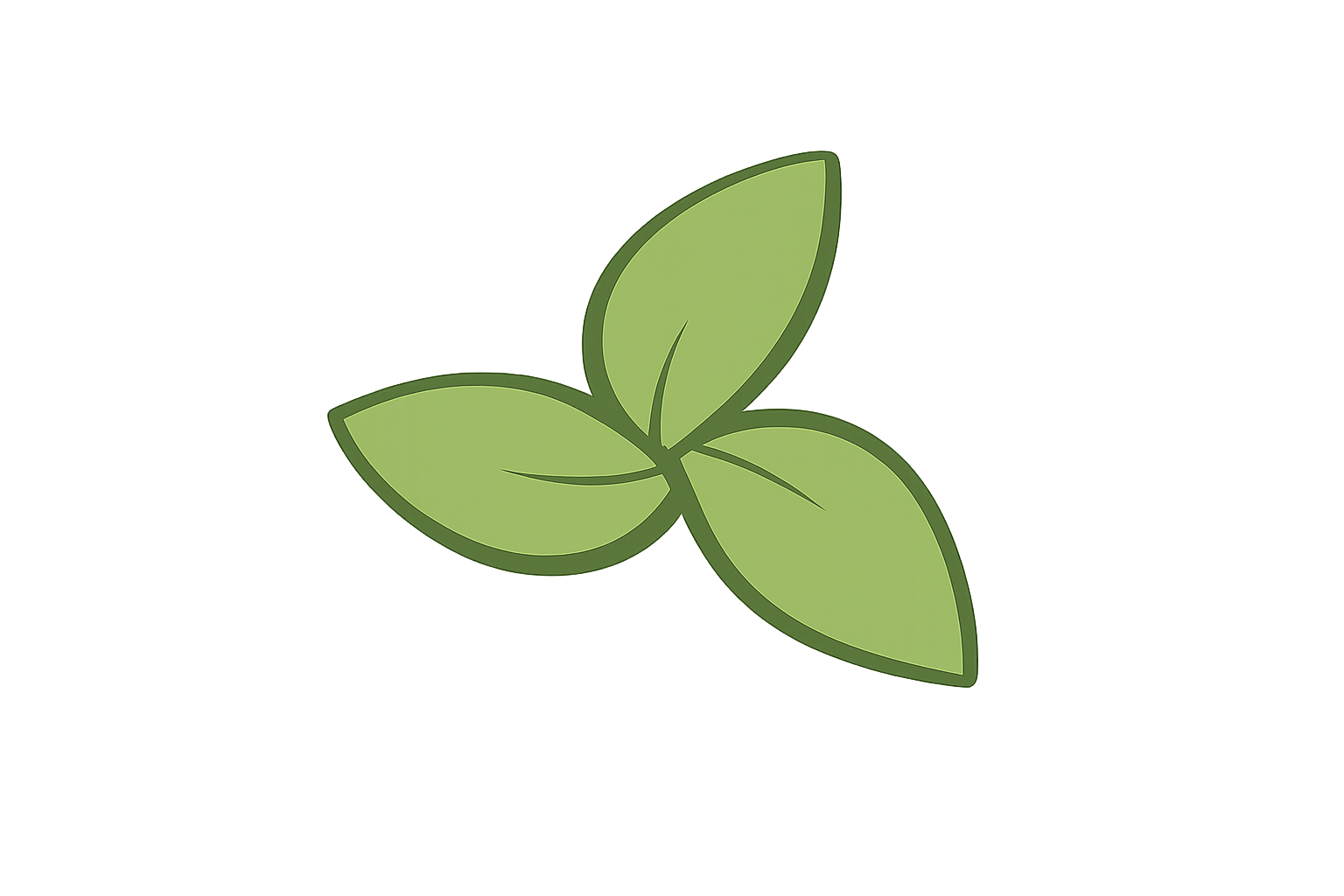 Illustration of three green leaves with darker green outline, arranged together.