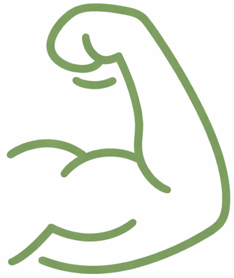 Line drawing of a flexed arm muscle.