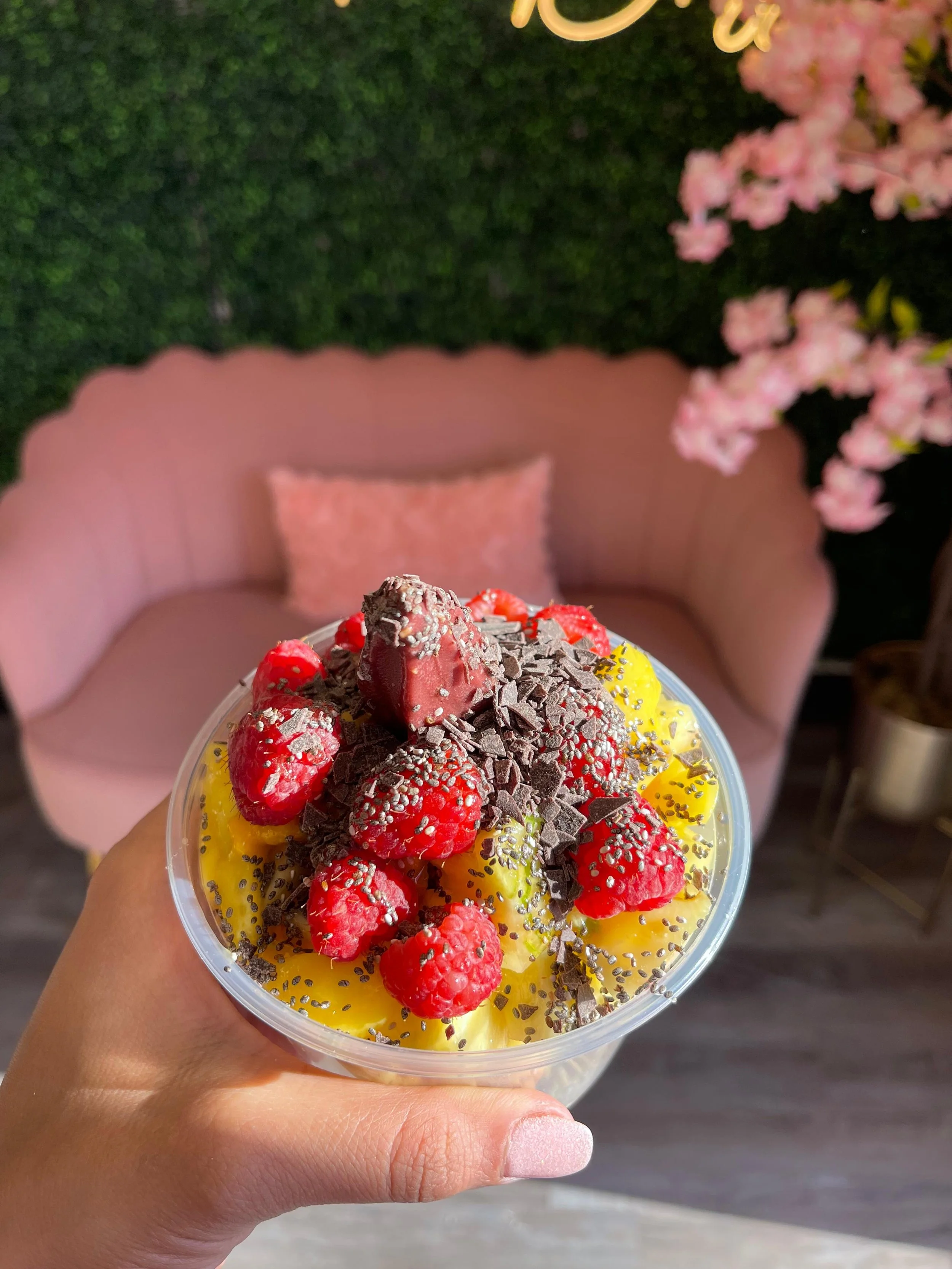 A hand holding a cup of yellow dessert topped with red raspberries, chocolate shavings, and a chocolate-covered strawberry. In the background, there is a pink couch with a pink pillow, a green wall, and pink flowers.
