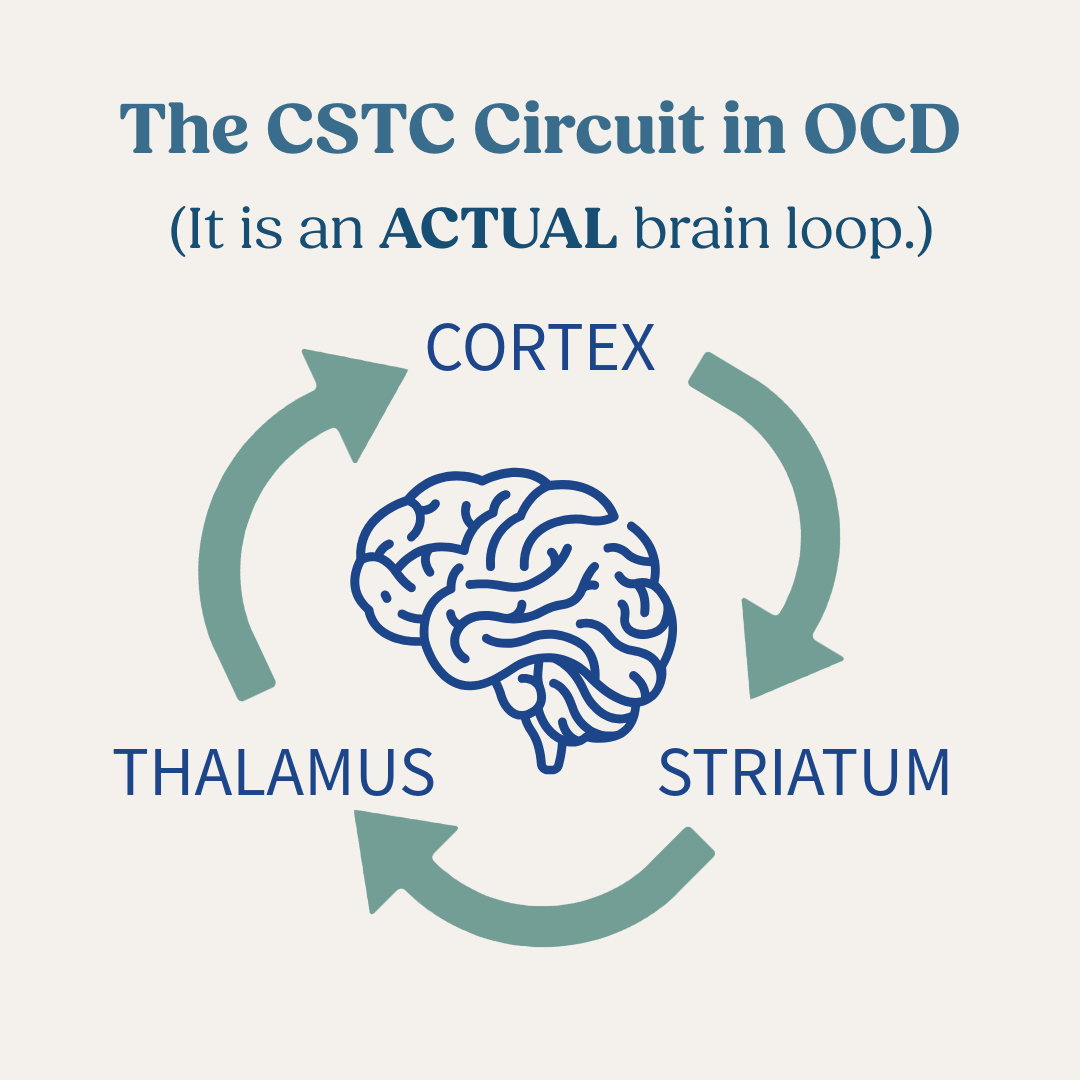 CSTC Loop Explained: Understanding the Brain Behind OCD