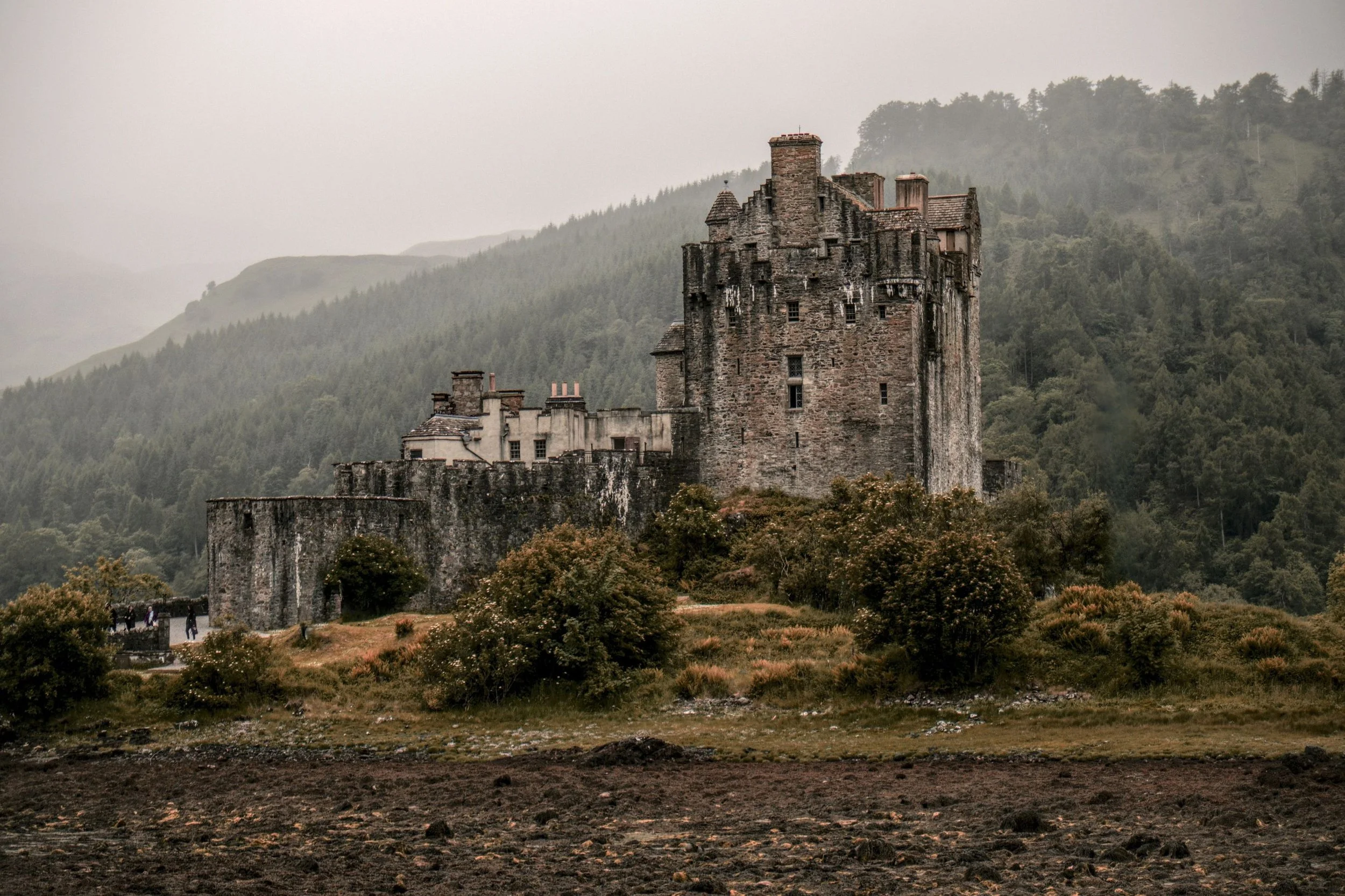 A medieval castle on a hill with lush green trees and mountains in the background, overcast weather
