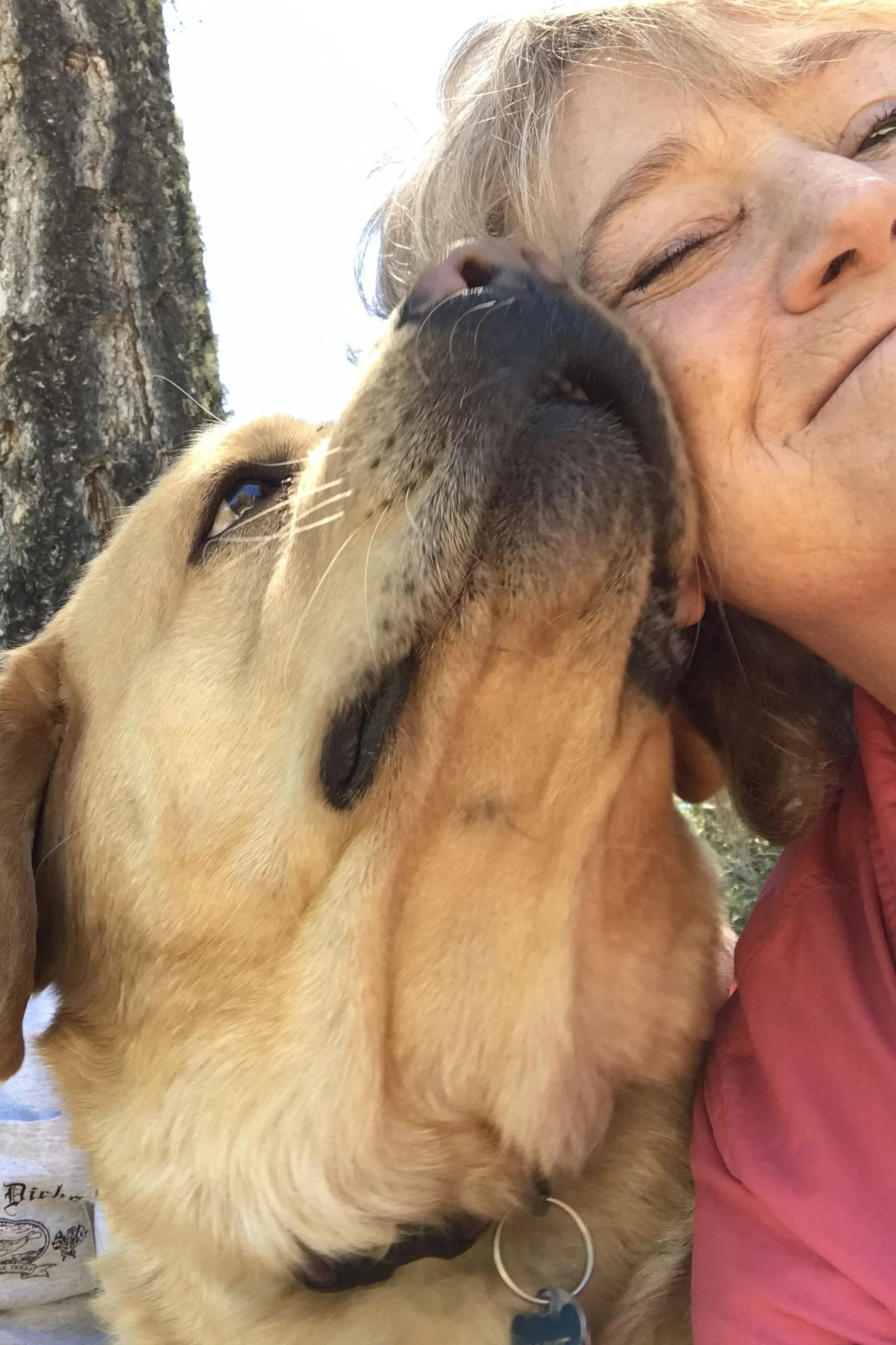 Historical time travel fiction author Helen Pilz touching noses with a large, light brown dog, both with closed eyes, outdoors near a tree during daytime.