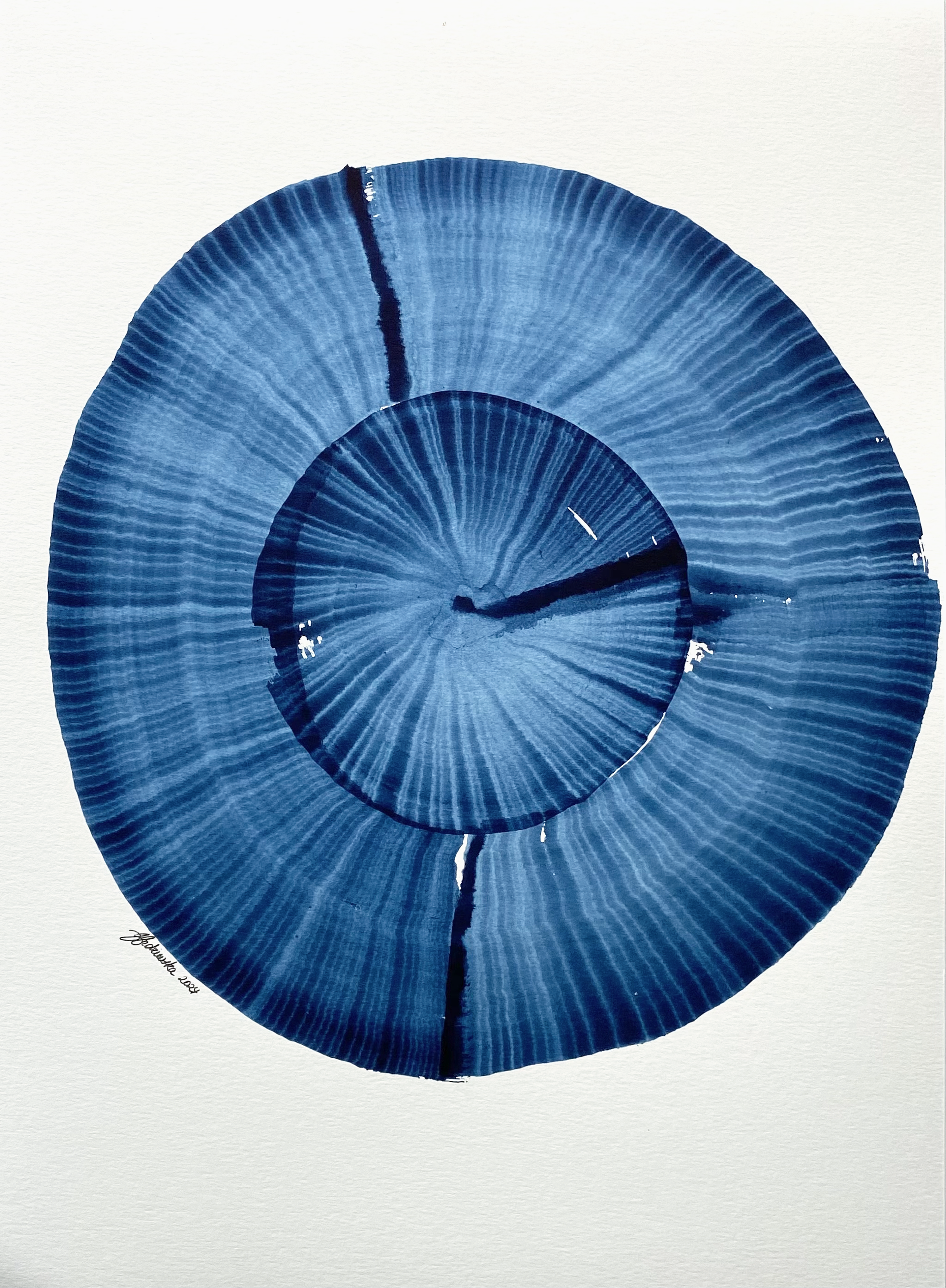 Old Growth No.2 2024