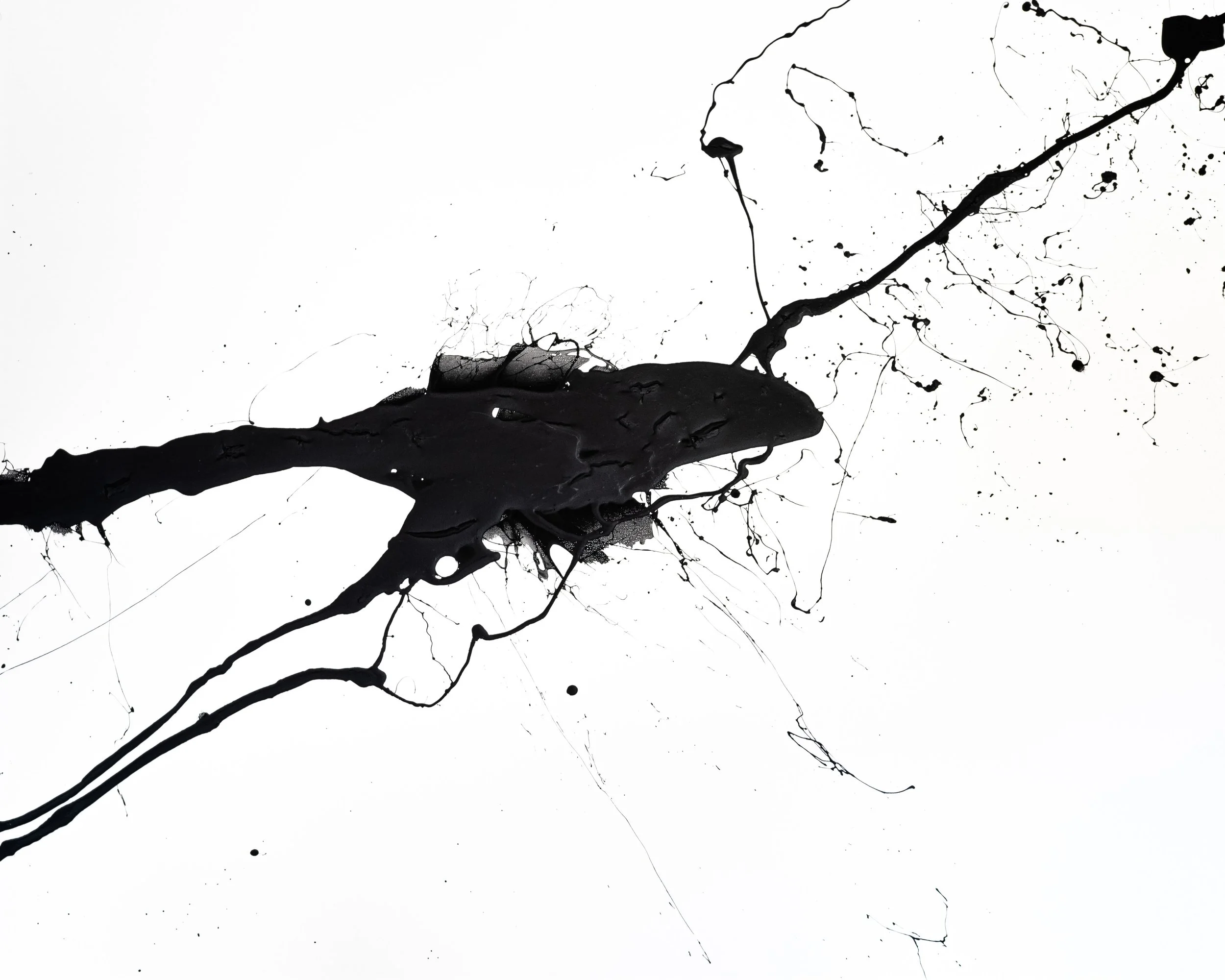 Steffany Minotti Singularity Acrylic 48x60 canvas .jpg