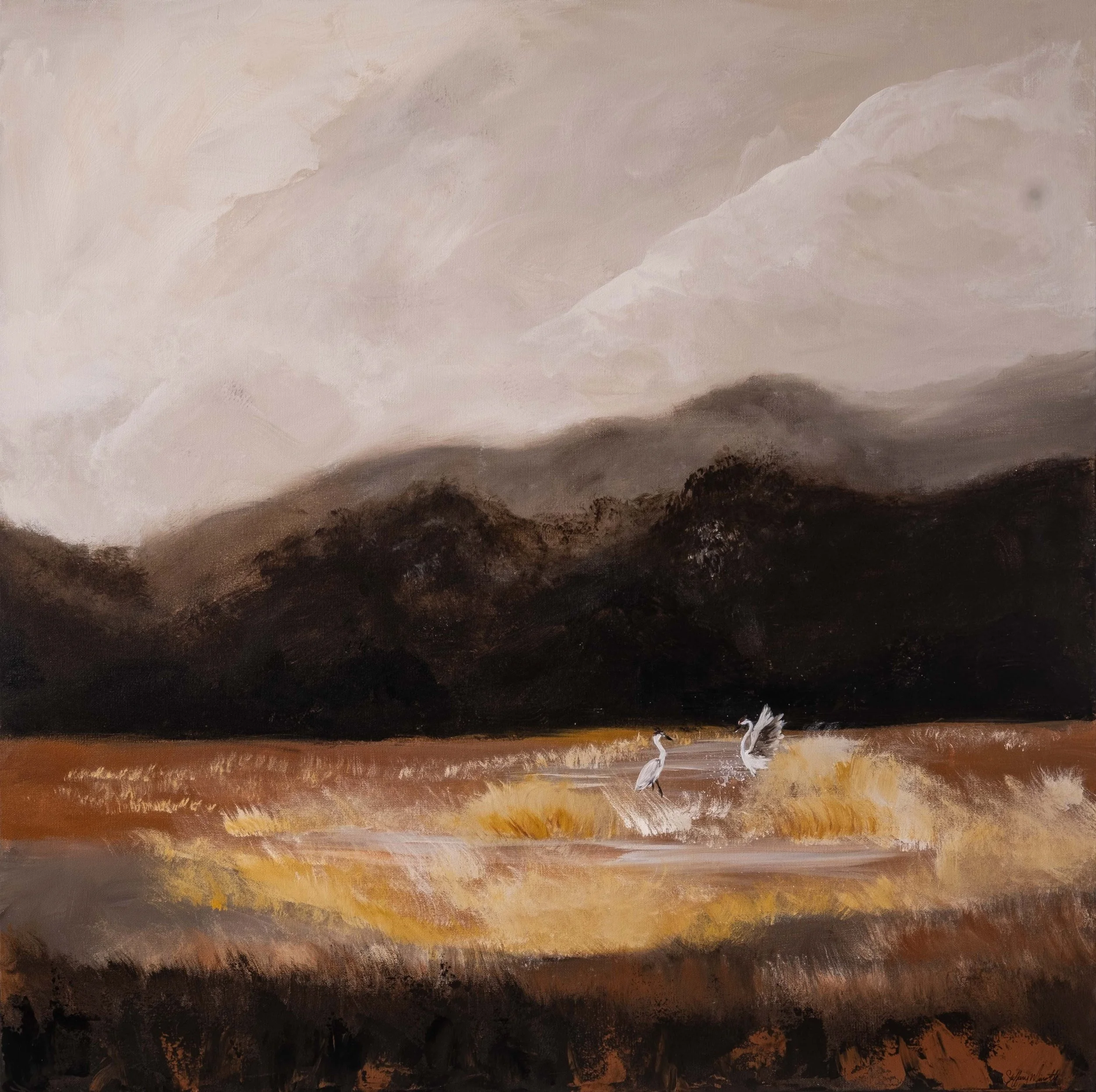Wetlands