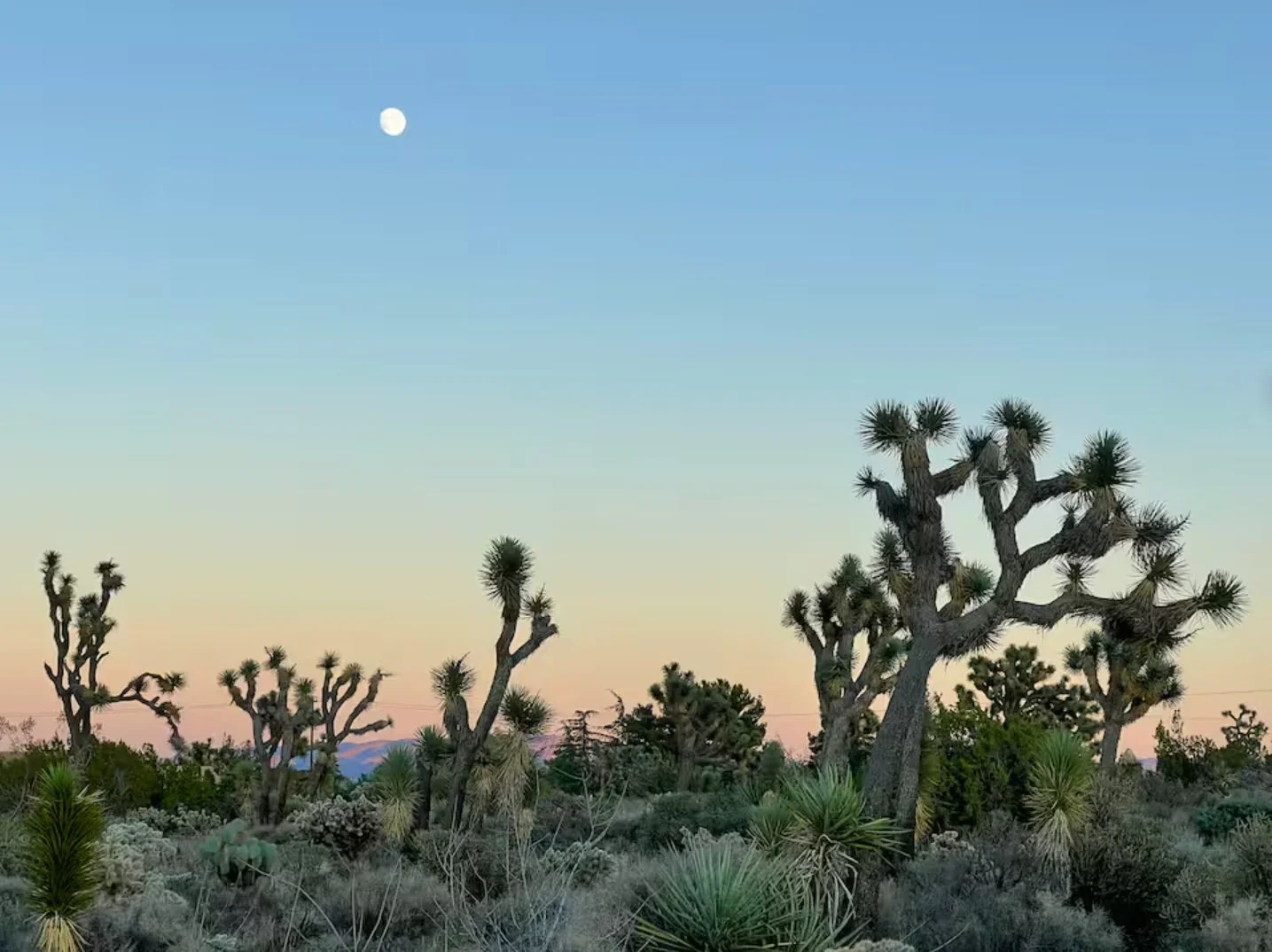 Stunning desert views