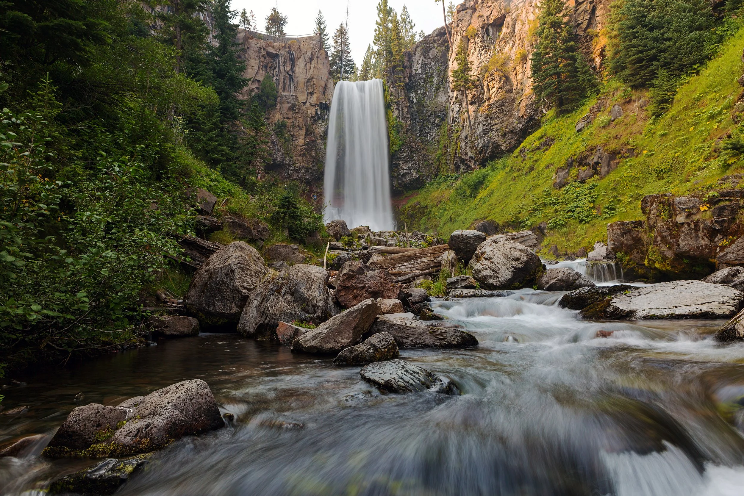 A tall waterfall cascading down a cliff surrounded by dense green trees and vegetation, with a rocky stream flowing at the bottom.