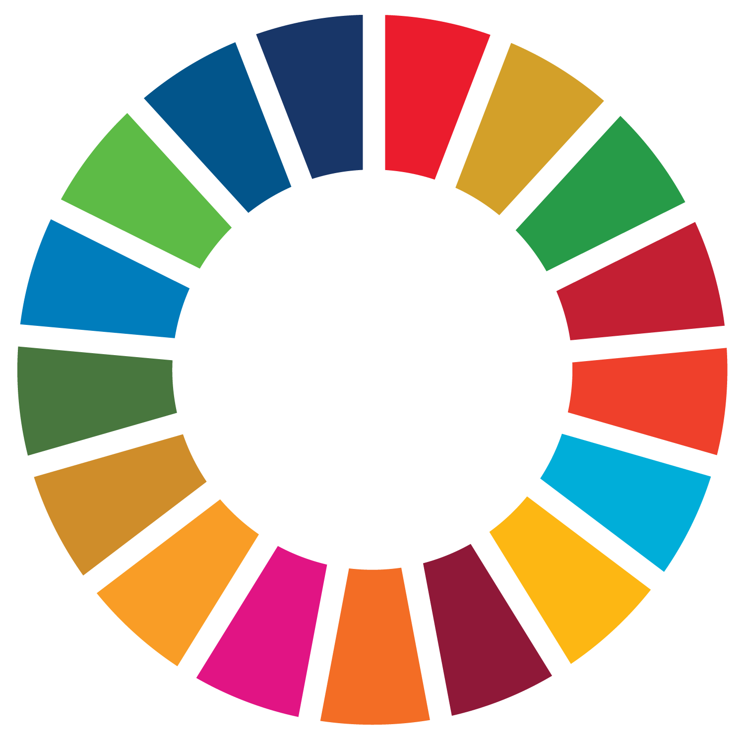 SDG Wheel_PRINT_Transparent.png