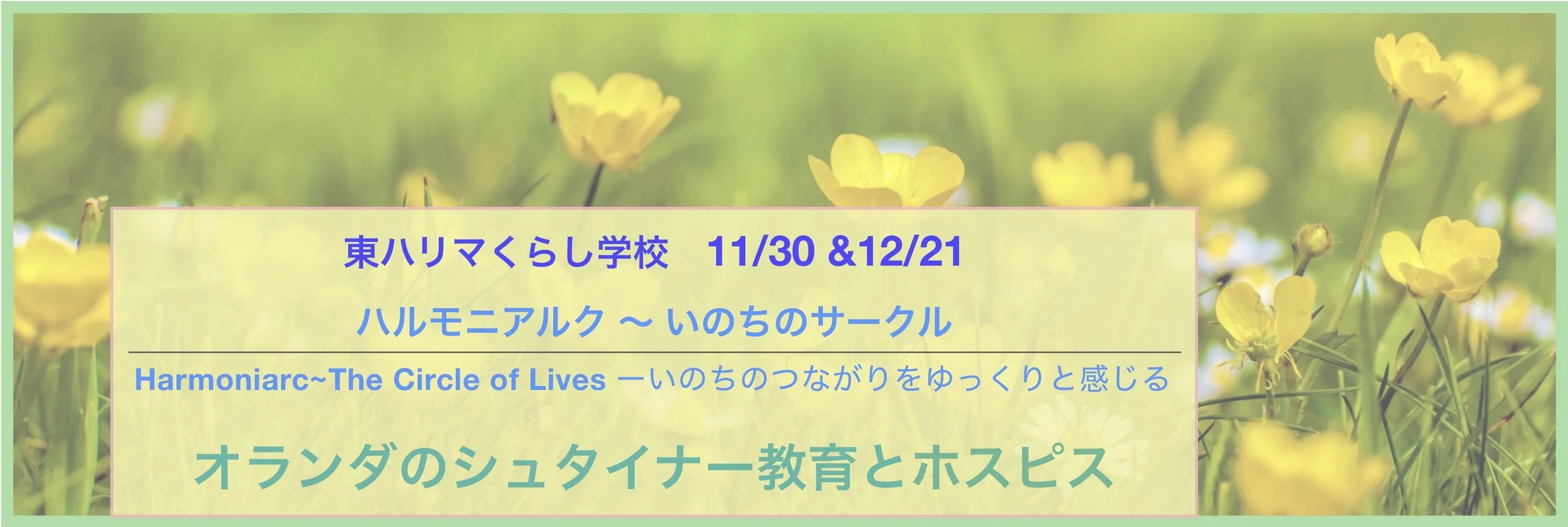 Harmoniarc burner 1 jpeg.jpg