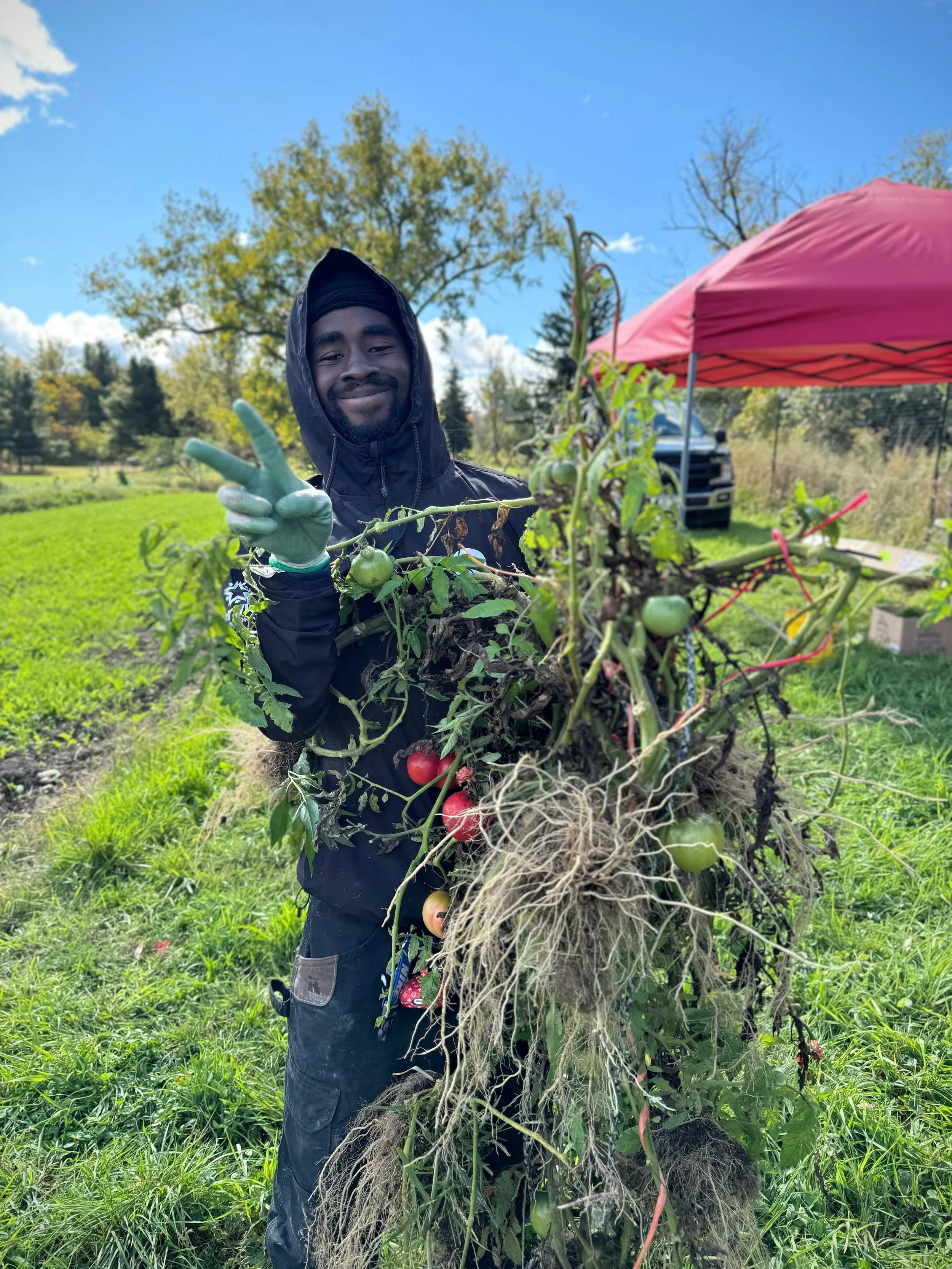demarion_farm.jpg
