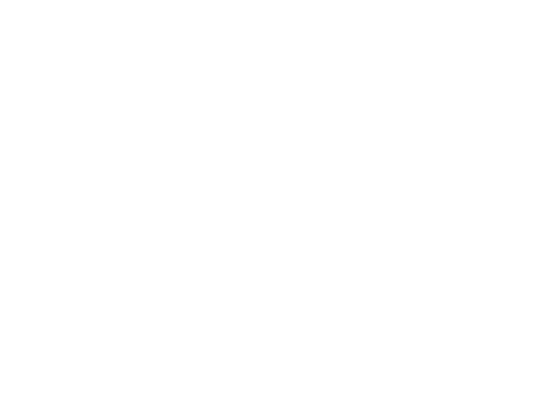 bsa.png