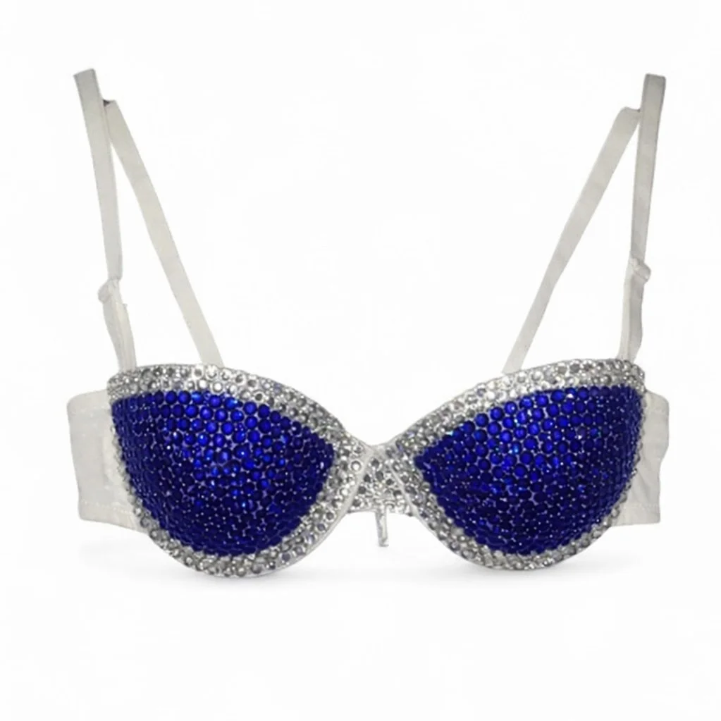 Sapphire Blue & Crystals Bra Top