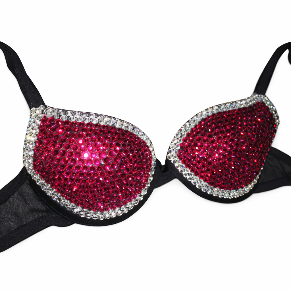 Fuchsia Pink & Crystal Diamond Rhinestone Bra Top