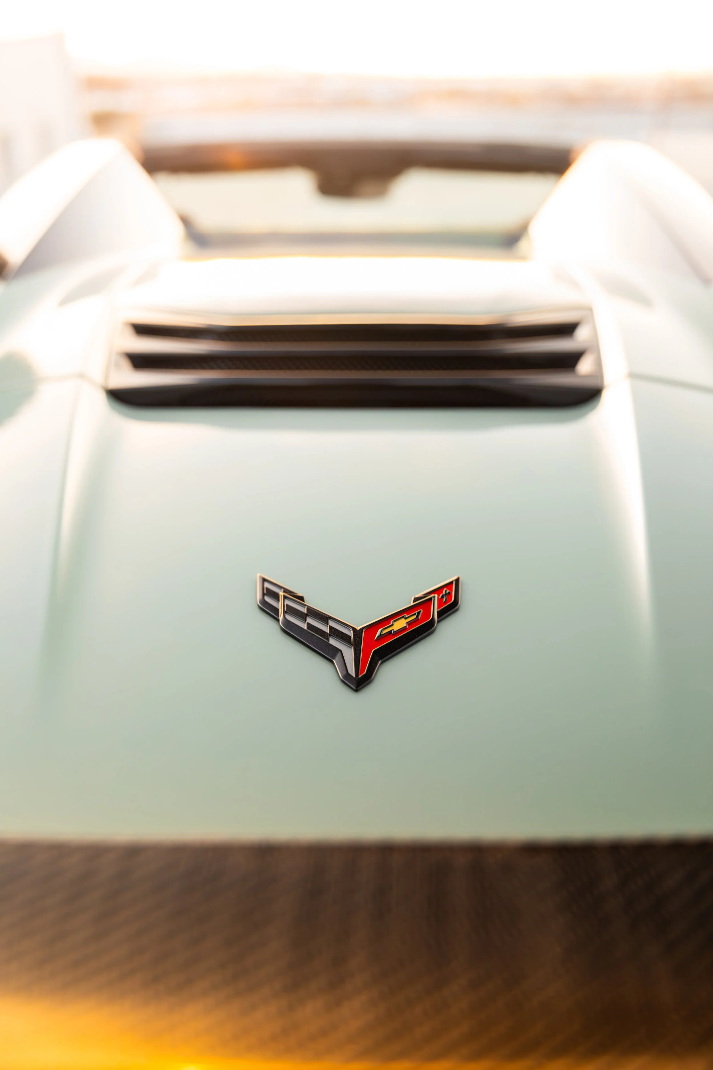 Slavi Cacti Green C8-68.JPG