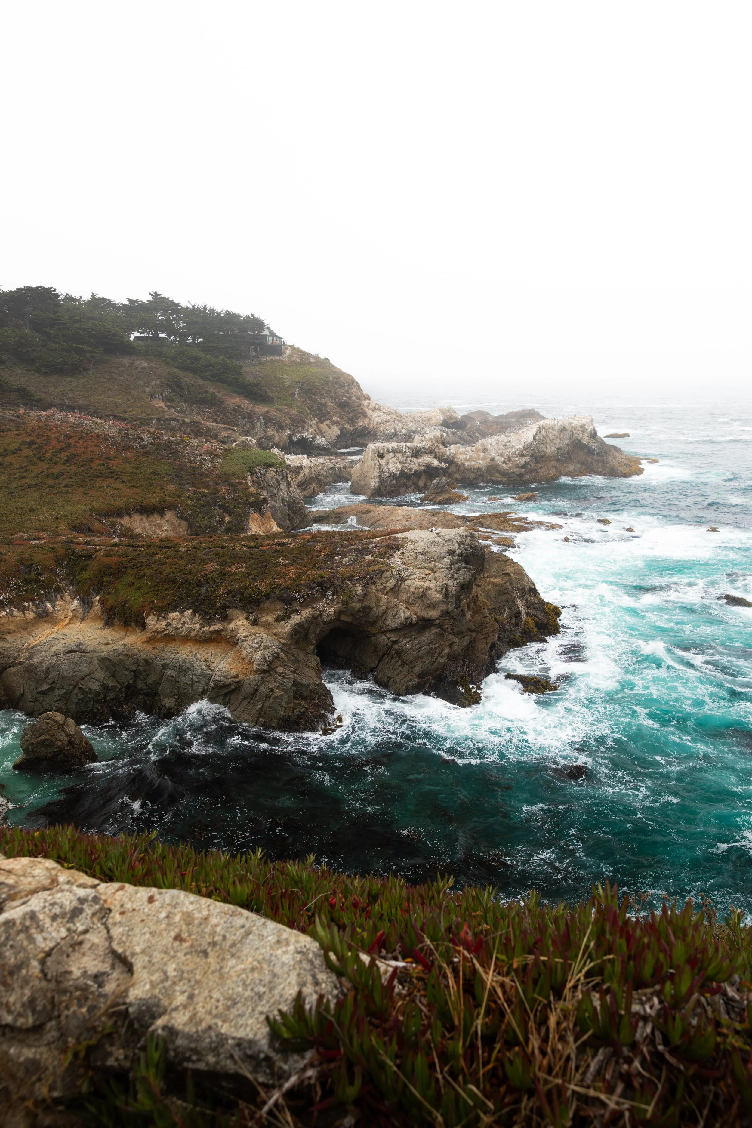 VF Engineering SVJ 63 Monterey 2025-11.JPG