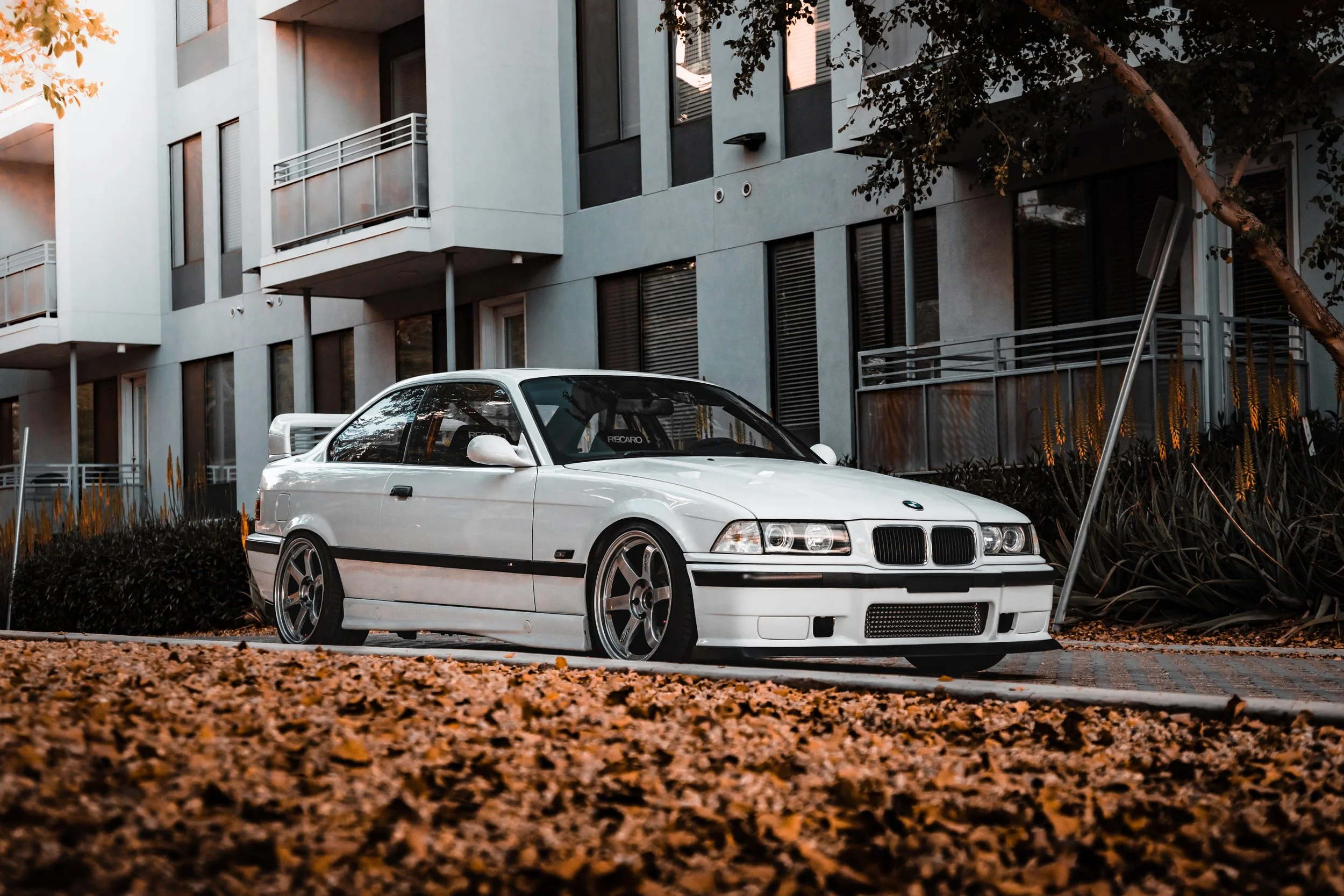 Morgan E36 Tempe Shoot-3.JPG