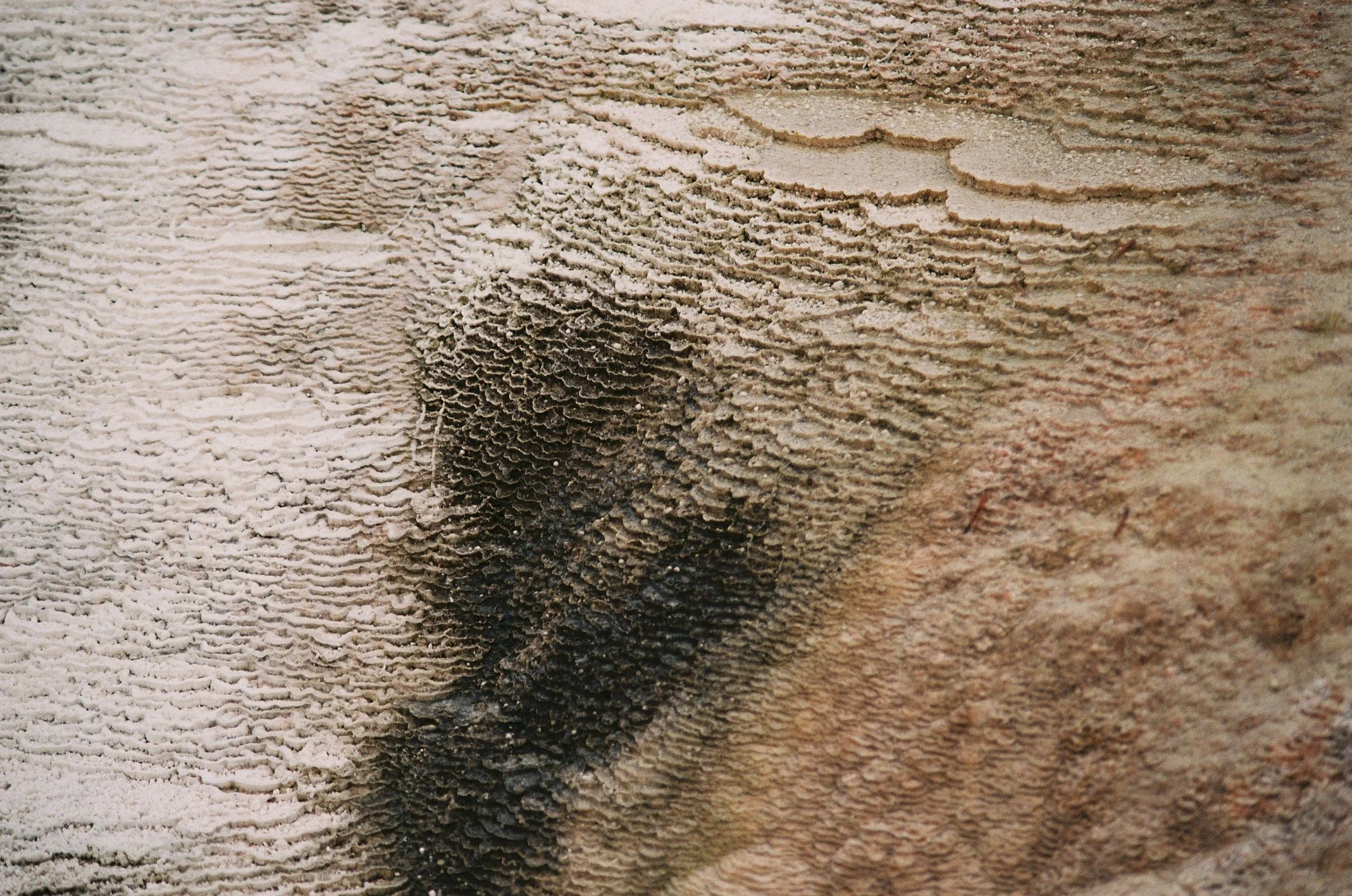 Photo Collection - a soft lunacy_17.JPG