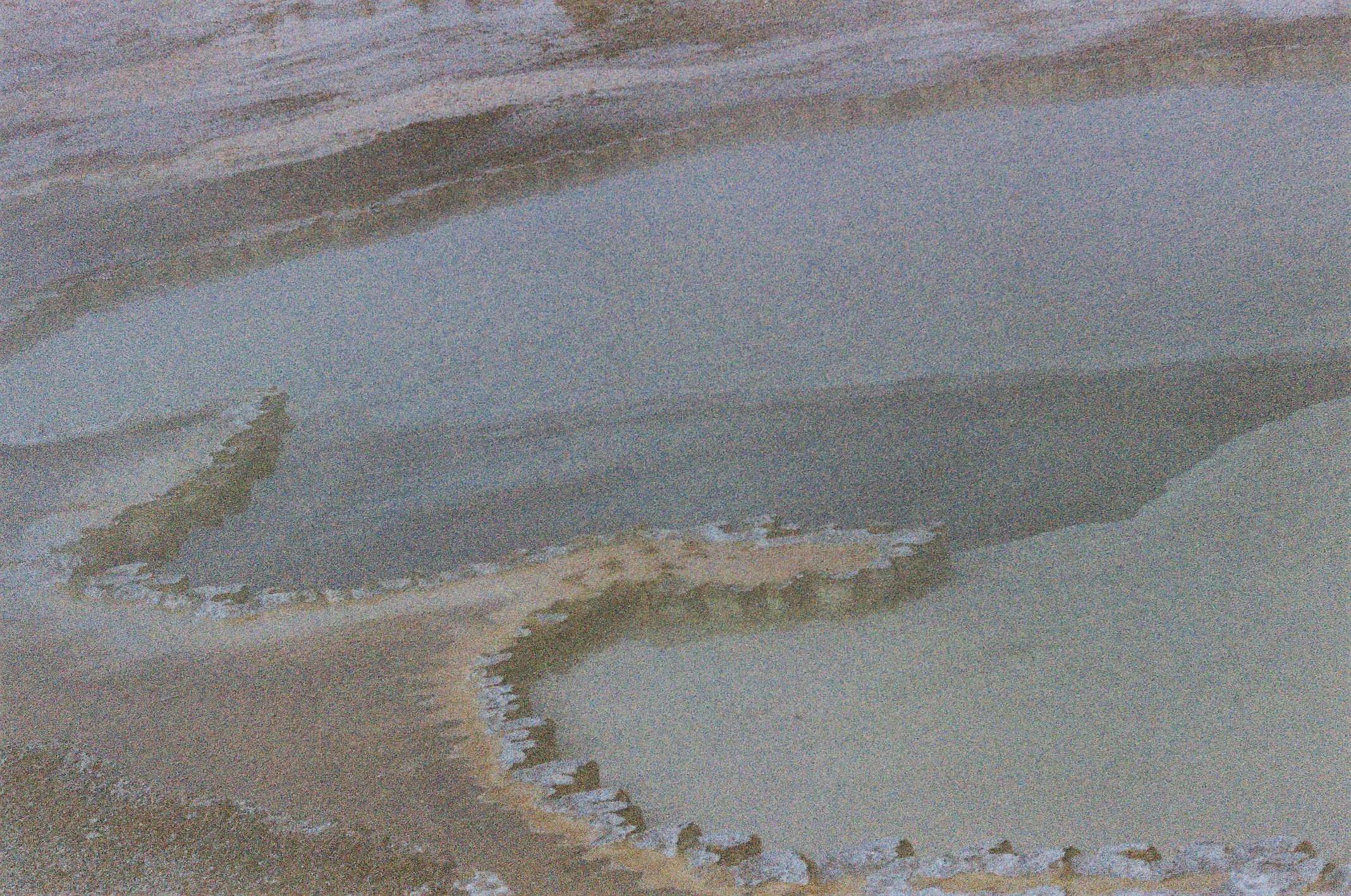 Photo Collection - a soft lunacy_13.JPG