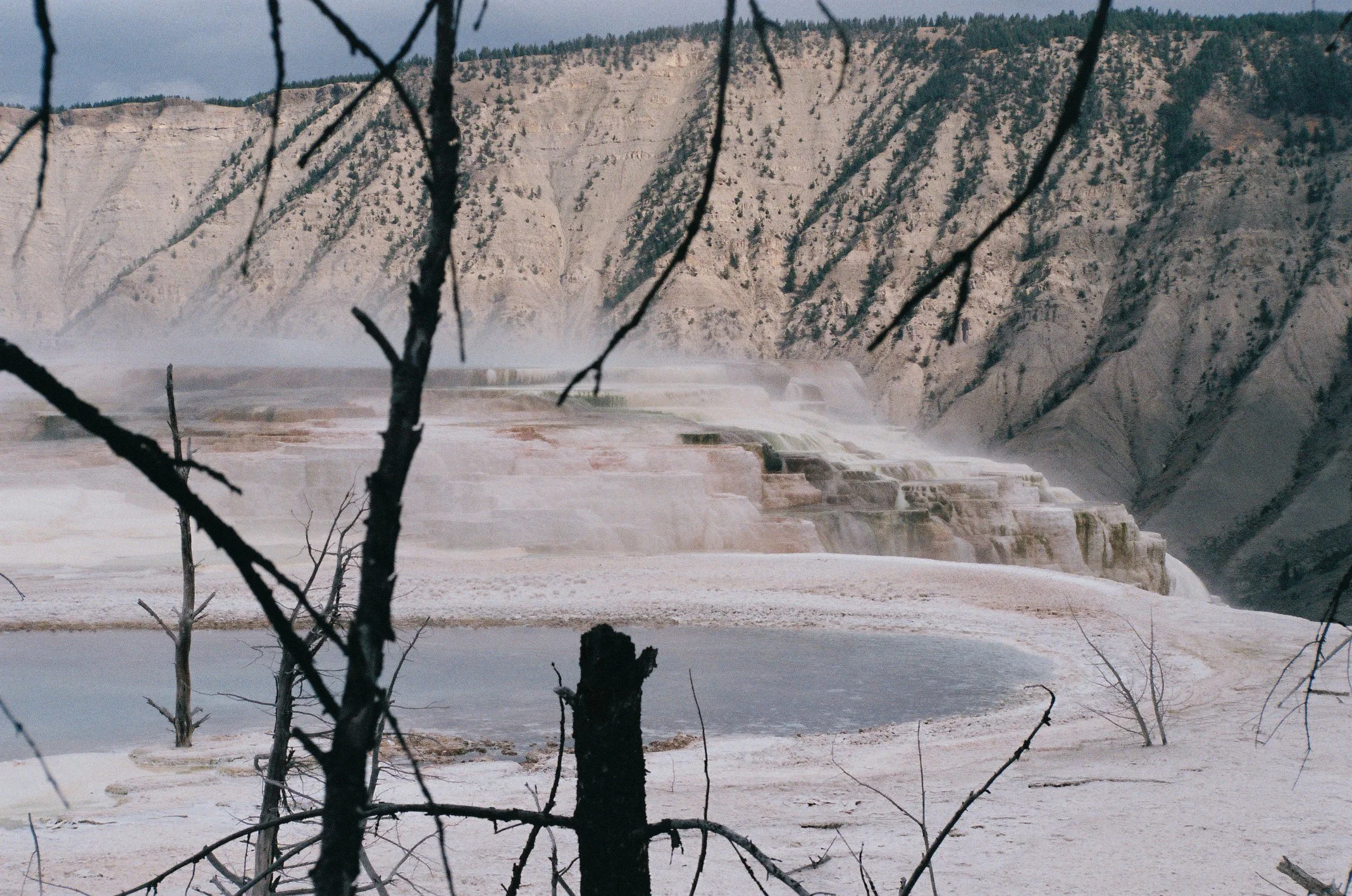 Photo Collection - a soft lunacy_23.JPG