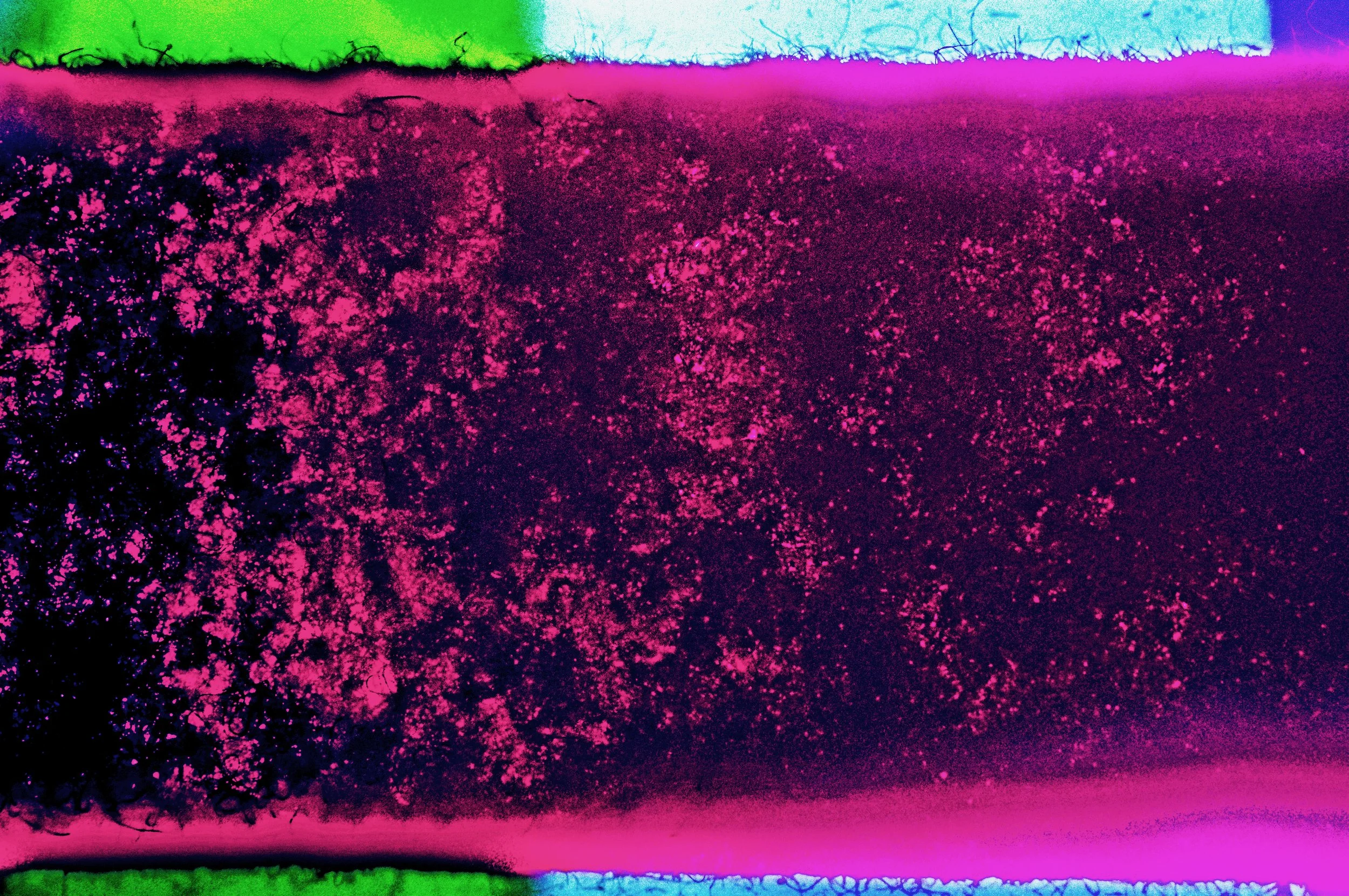 8 R1-09298-0006 e.jpg