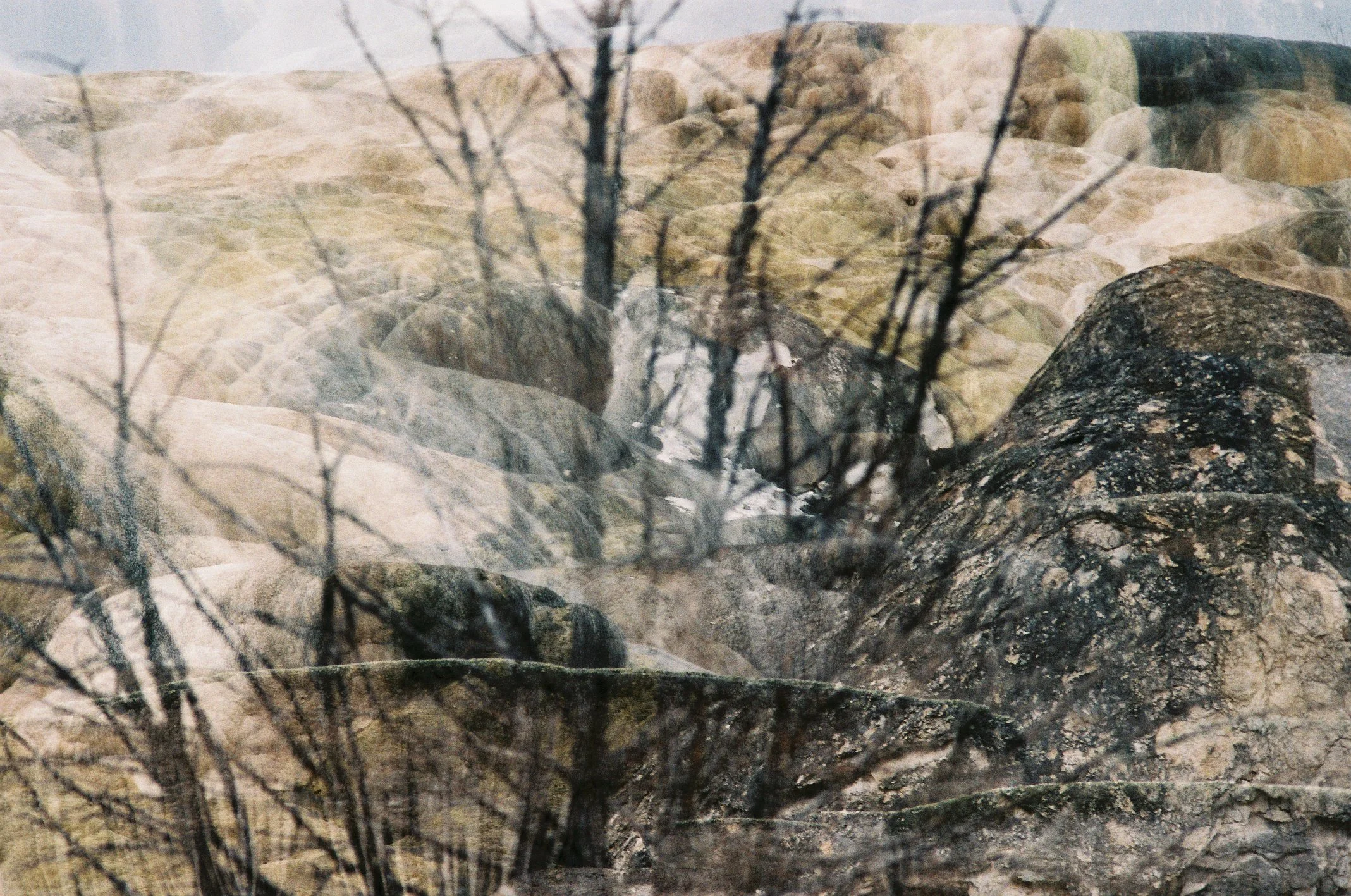 Photo Collection - a soft lunacy_20.JPG