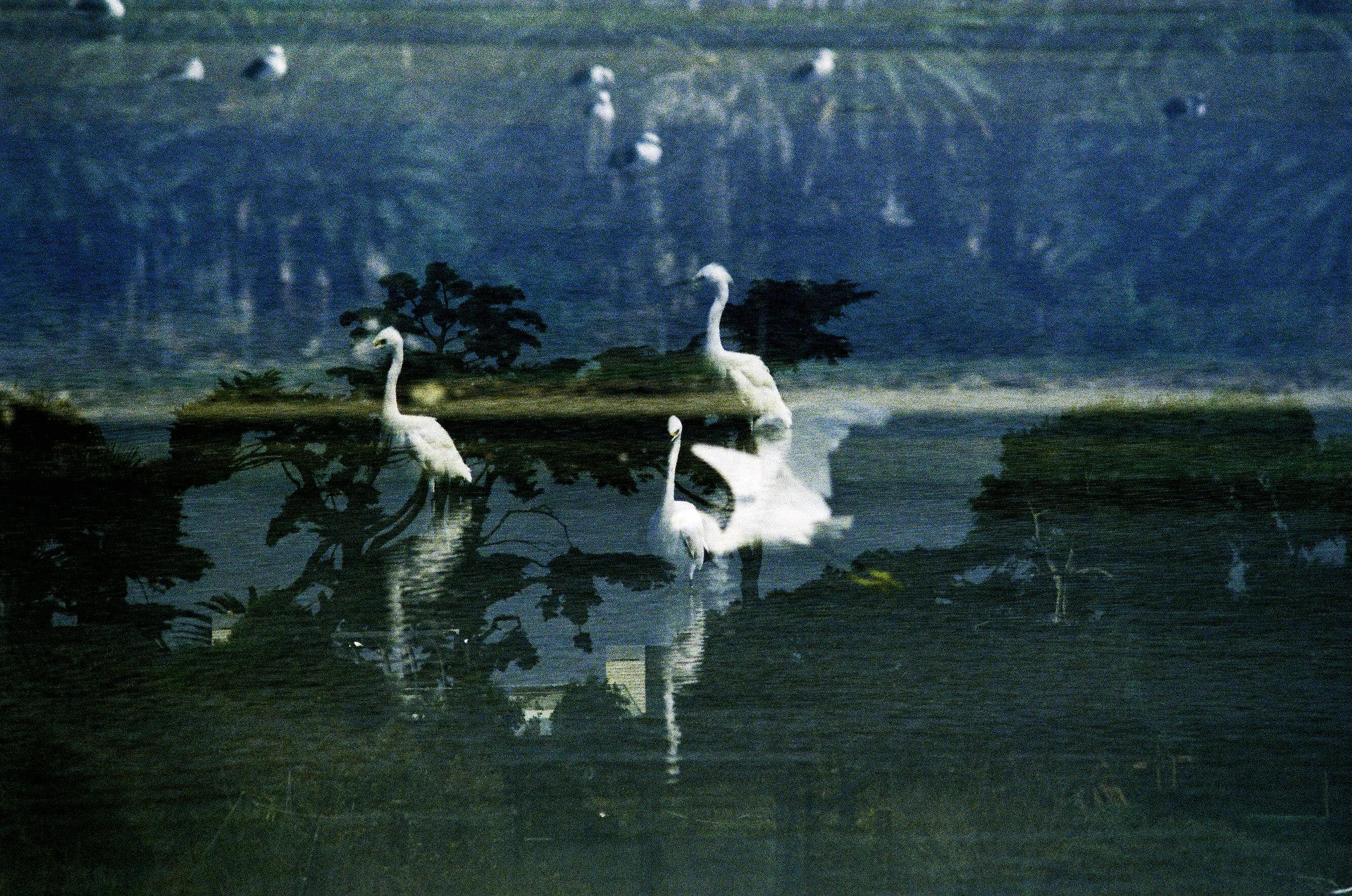 1 R1-05925-0025 e.jpg